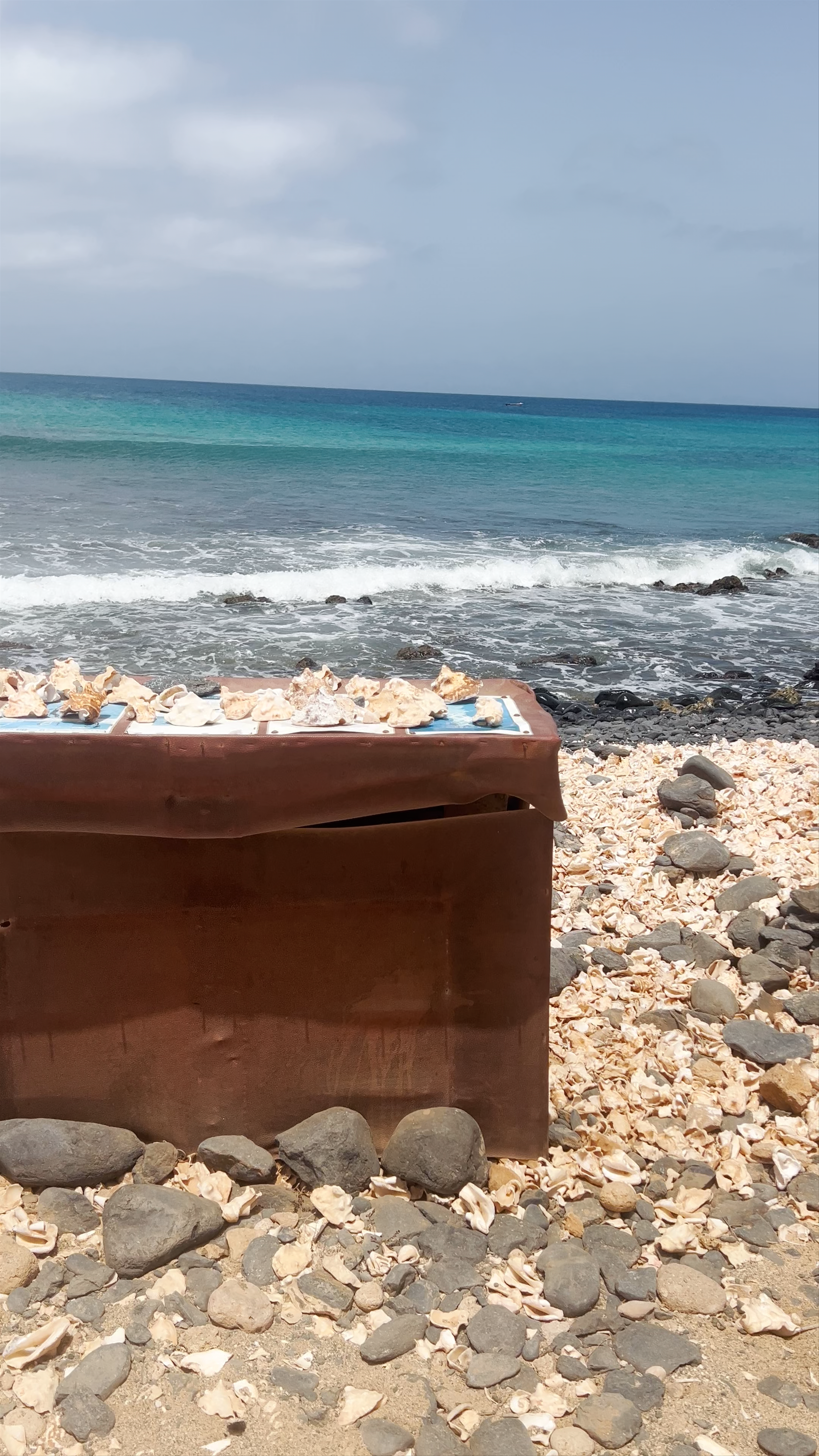 Shell Cemetery Beach: Mystical Shores of Santa Maria, Cabo Verde