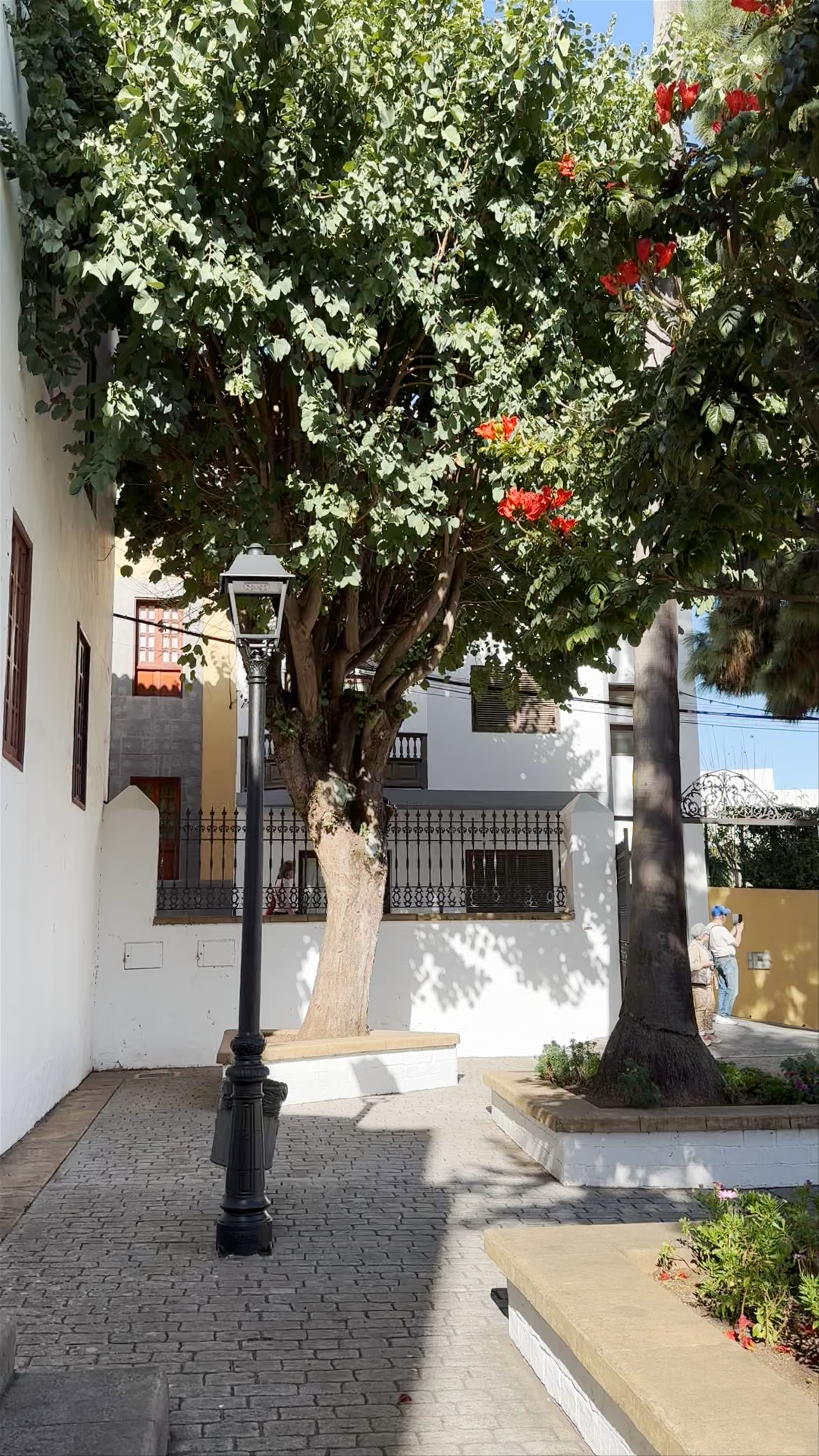 Plaza Teresa de Bolívar