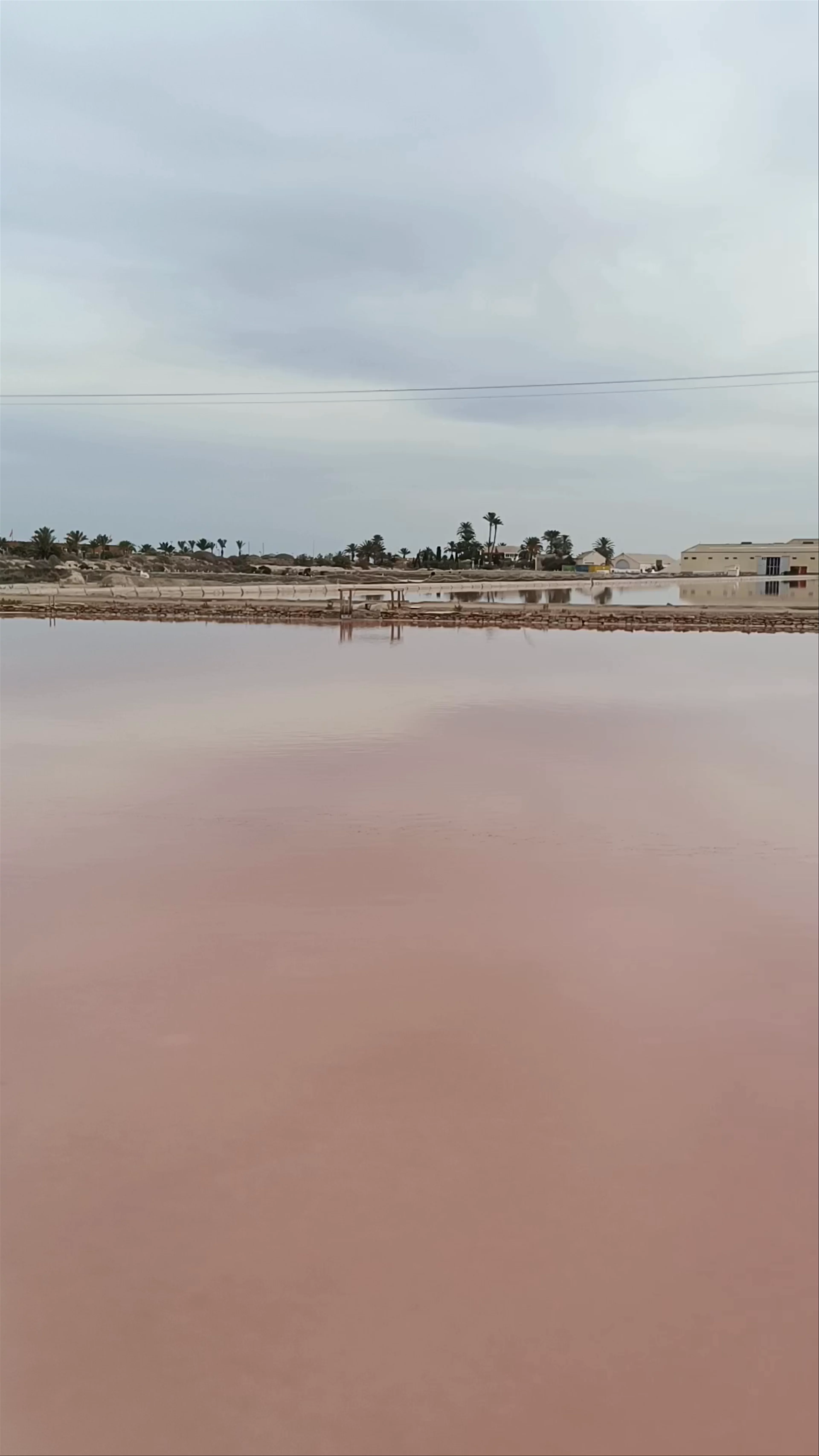 Las Salinas, Calle Garza Real, San Pedro del Pinatar