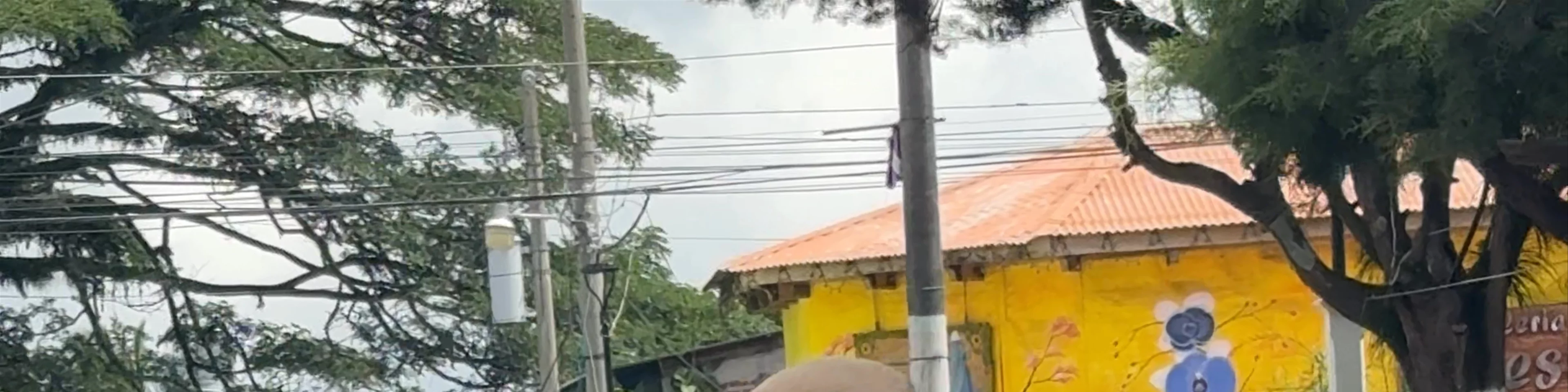 Juayua Central Park