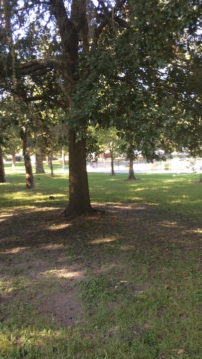 Riverside Park - Friday morning - Parks Near Me - Jacksonville, Florida