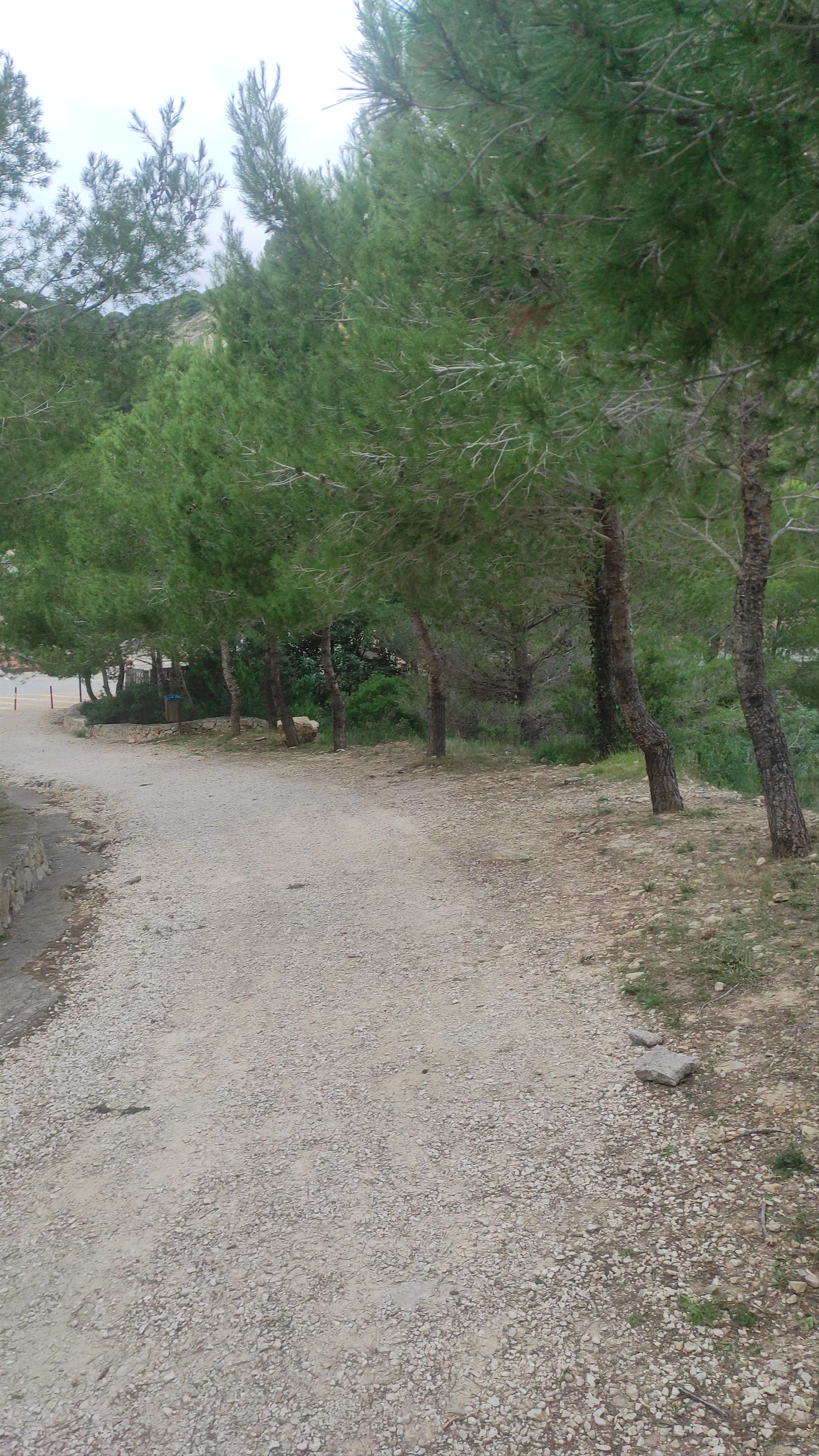 Mirador dels Testos