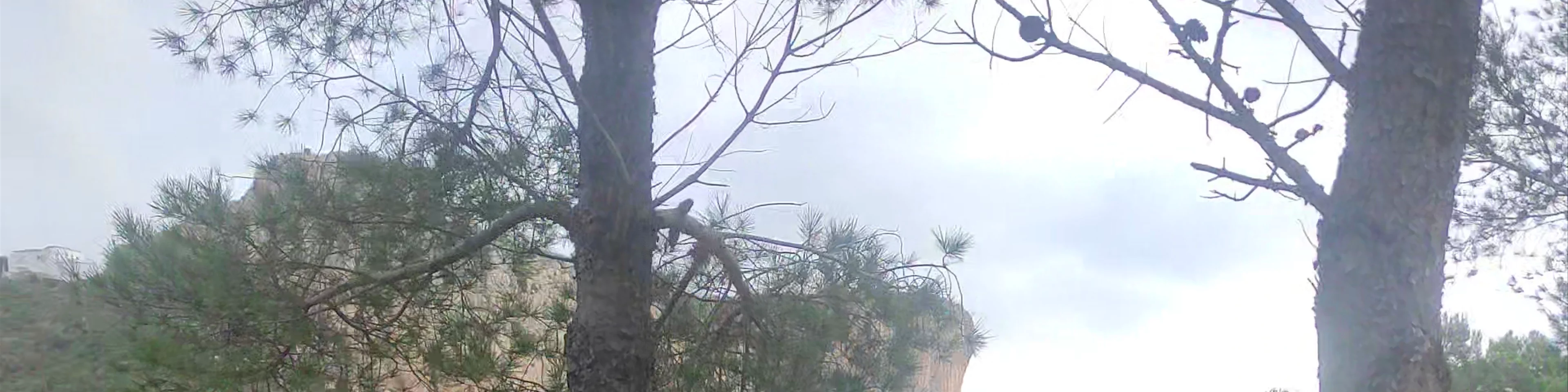 Mirador dels Testos