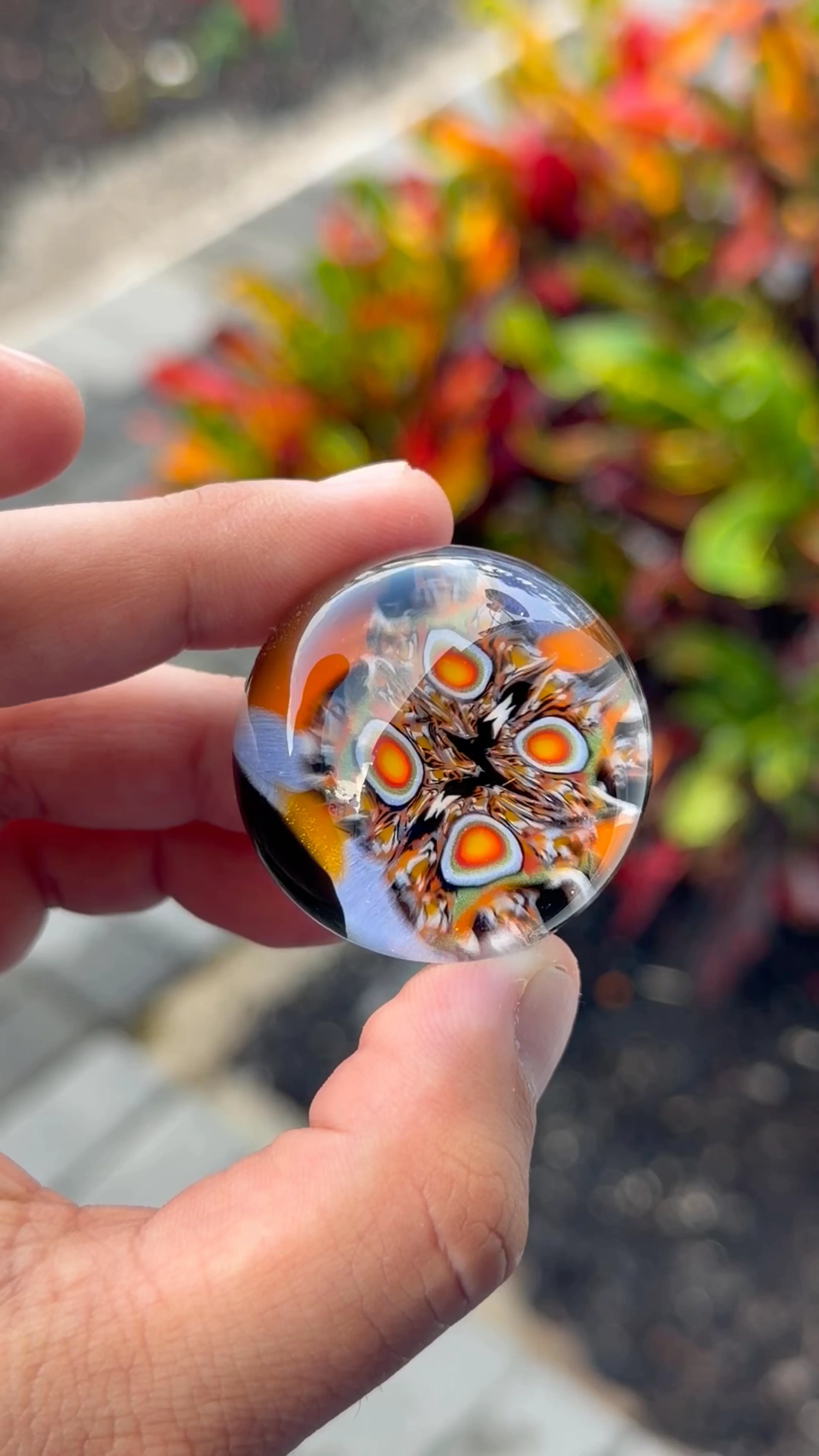 Preview pic of Lerk the world OG XL Marble