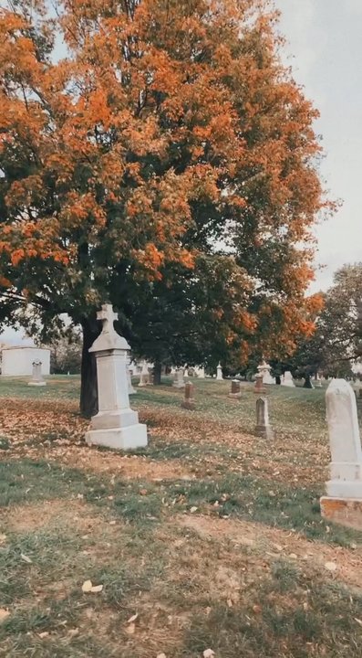 Calvary Cemetery - Fall - Funeral Services & Cemeteries Near Me - Saint Paul, Minnesota