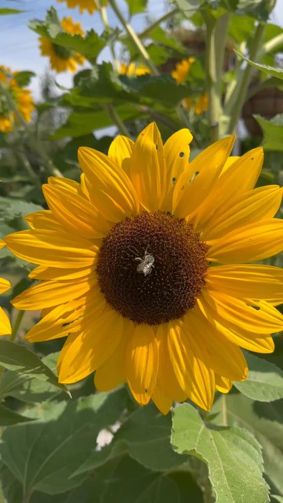 Central Lutheran Church - Service at a garden area - Churches Near Me - Eugene, Oregon