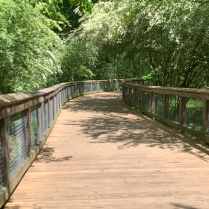 George Pierce Park - Beautiful scenic Trail - Parks Near Me - Suwanee, Georgia