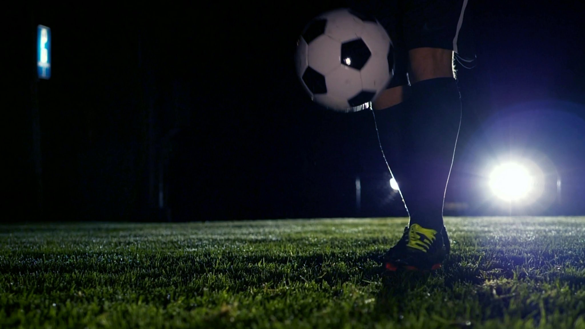 FitWise AI Product Launch