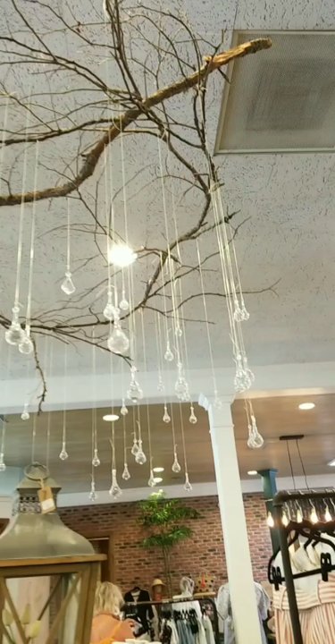 The Dienger Trading - Coffee & Tea Near Me - Boerne, Texas