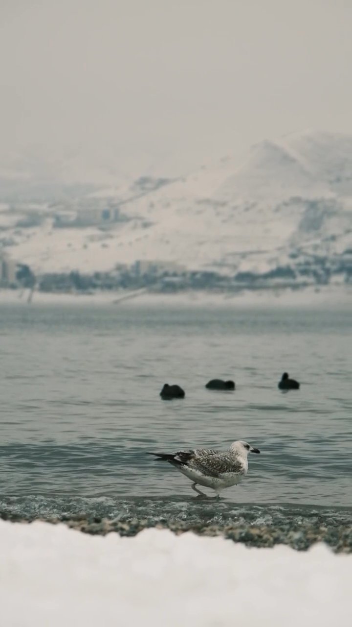 where to next?
📍 Iceland
🎥 Ebahir · Pexels
#travel #wanderlust #nature #adventure #vacation