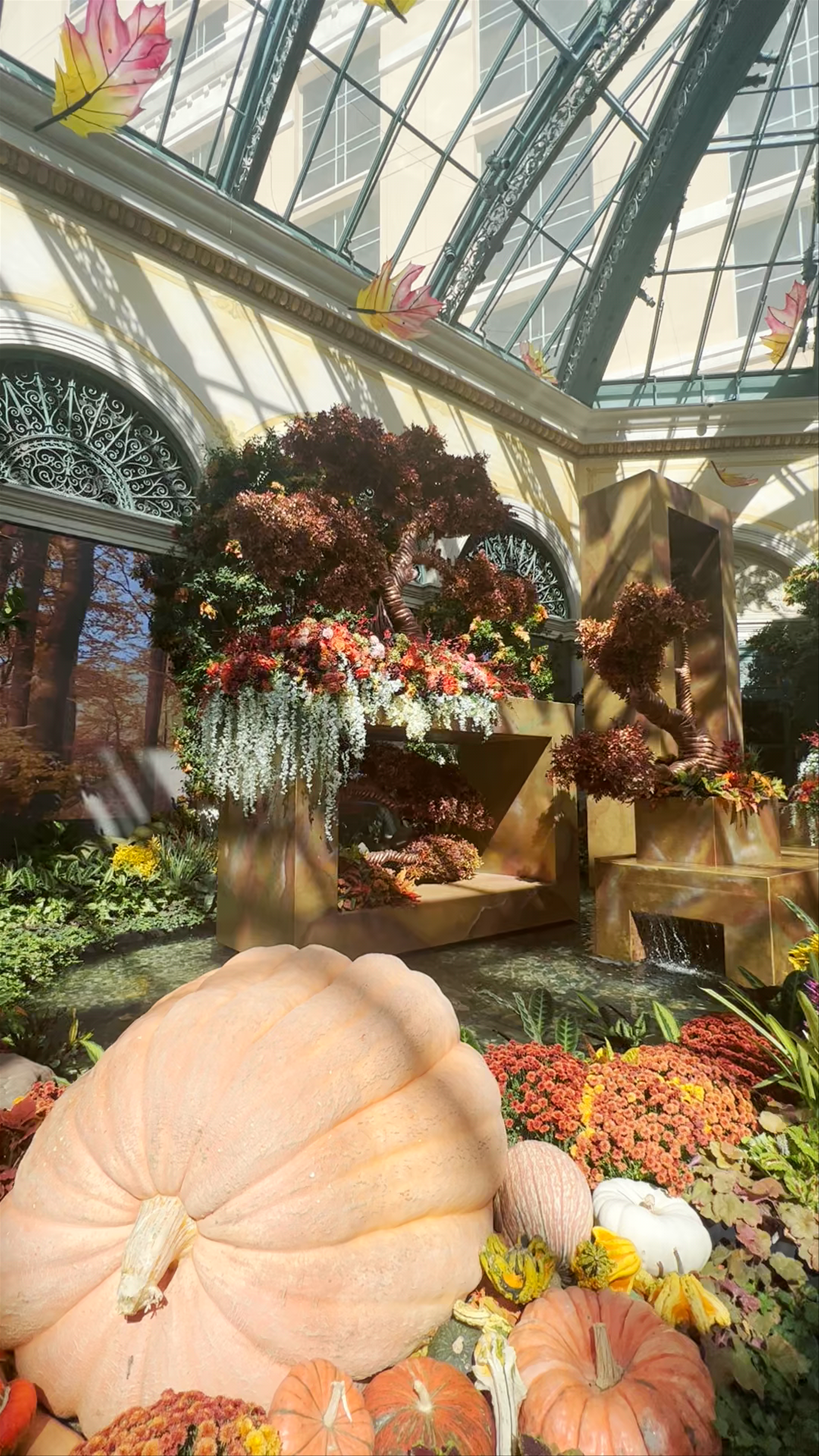 Bellagio Conservatory & Botanical Gardens: A Sunlit Autumn Wonderland in Las Vegas