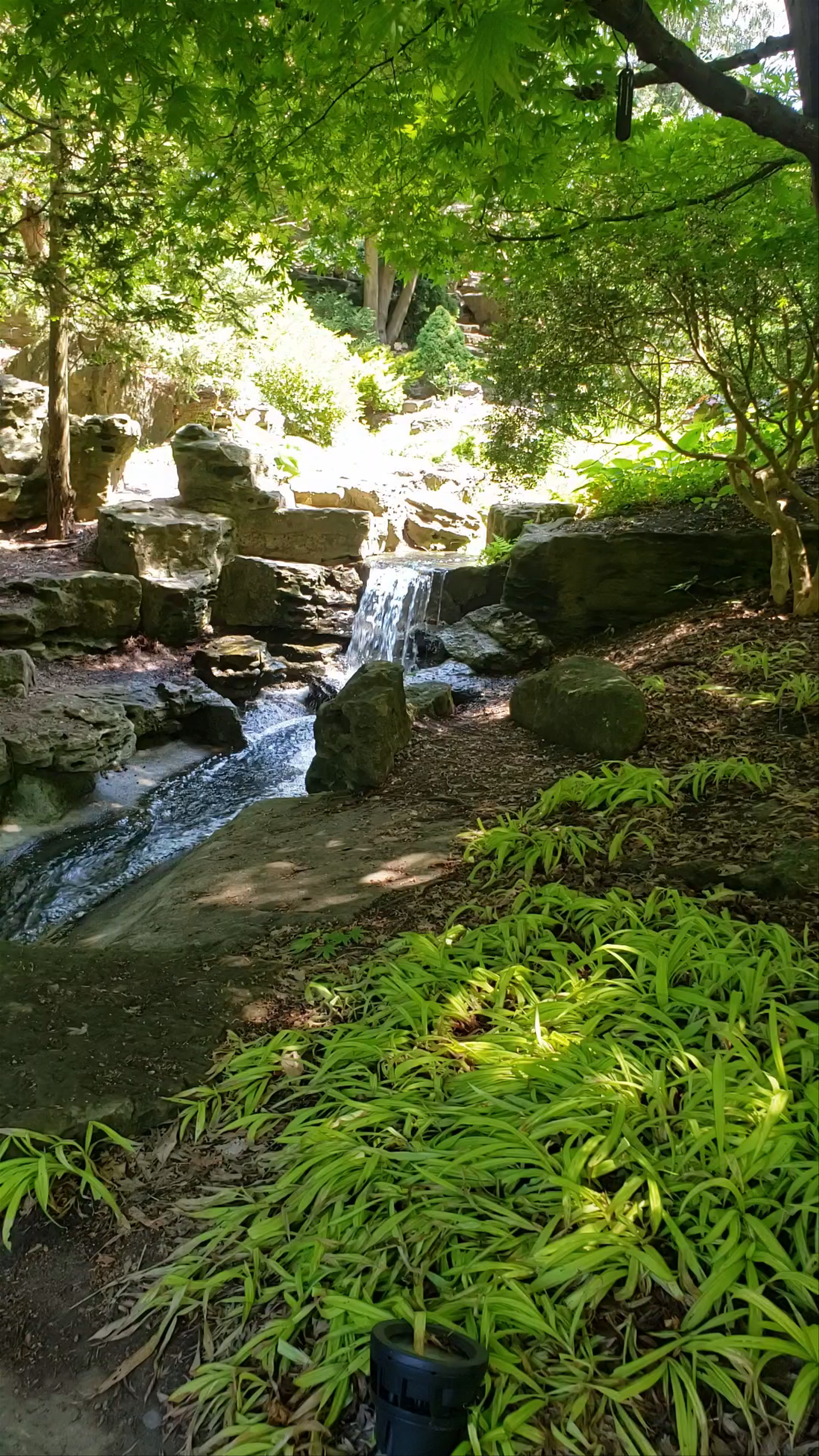 Royal Botanical Gardens