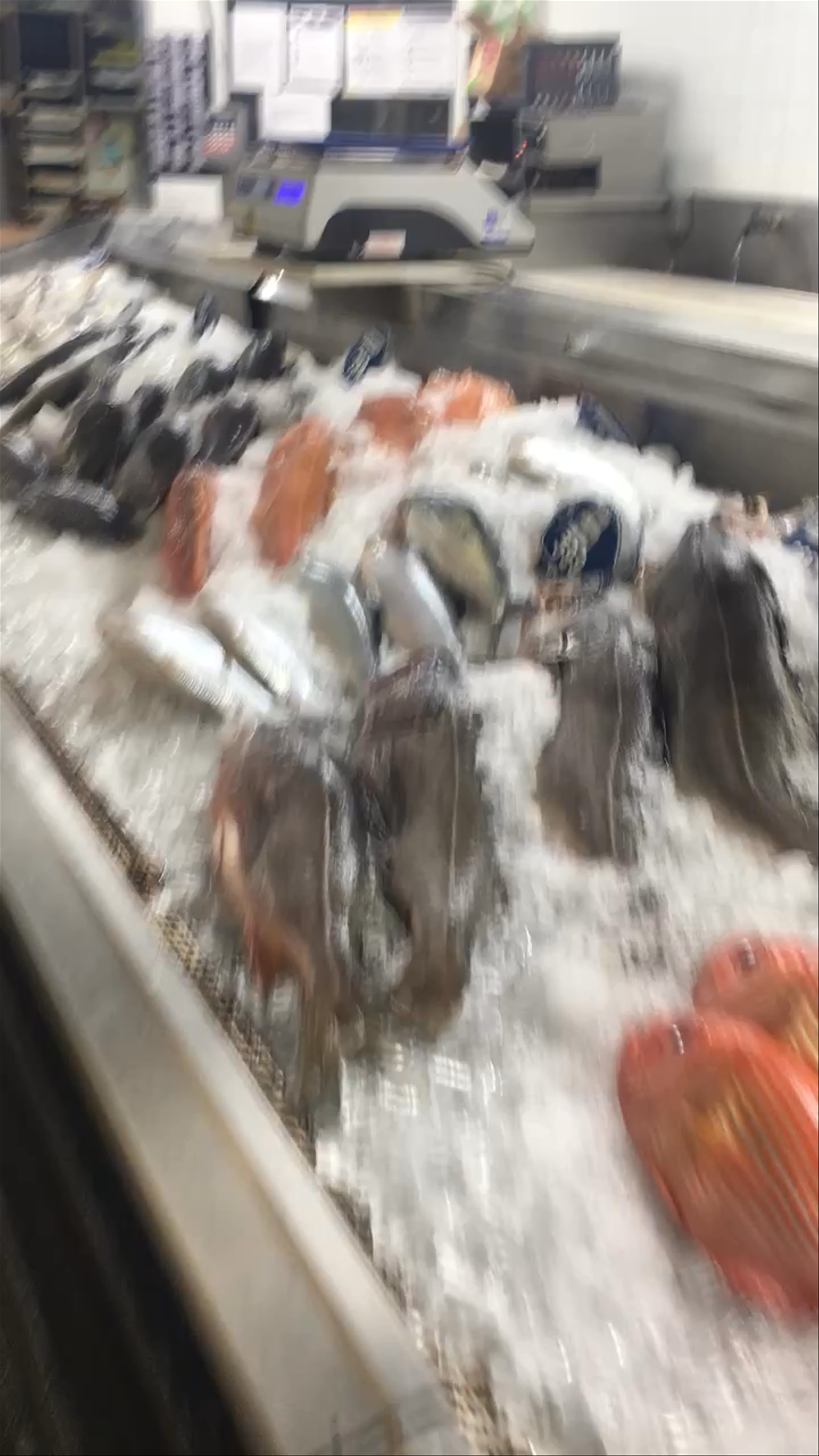 Quality Seafood Market Tour at International Boardwalk, Redondo Beach