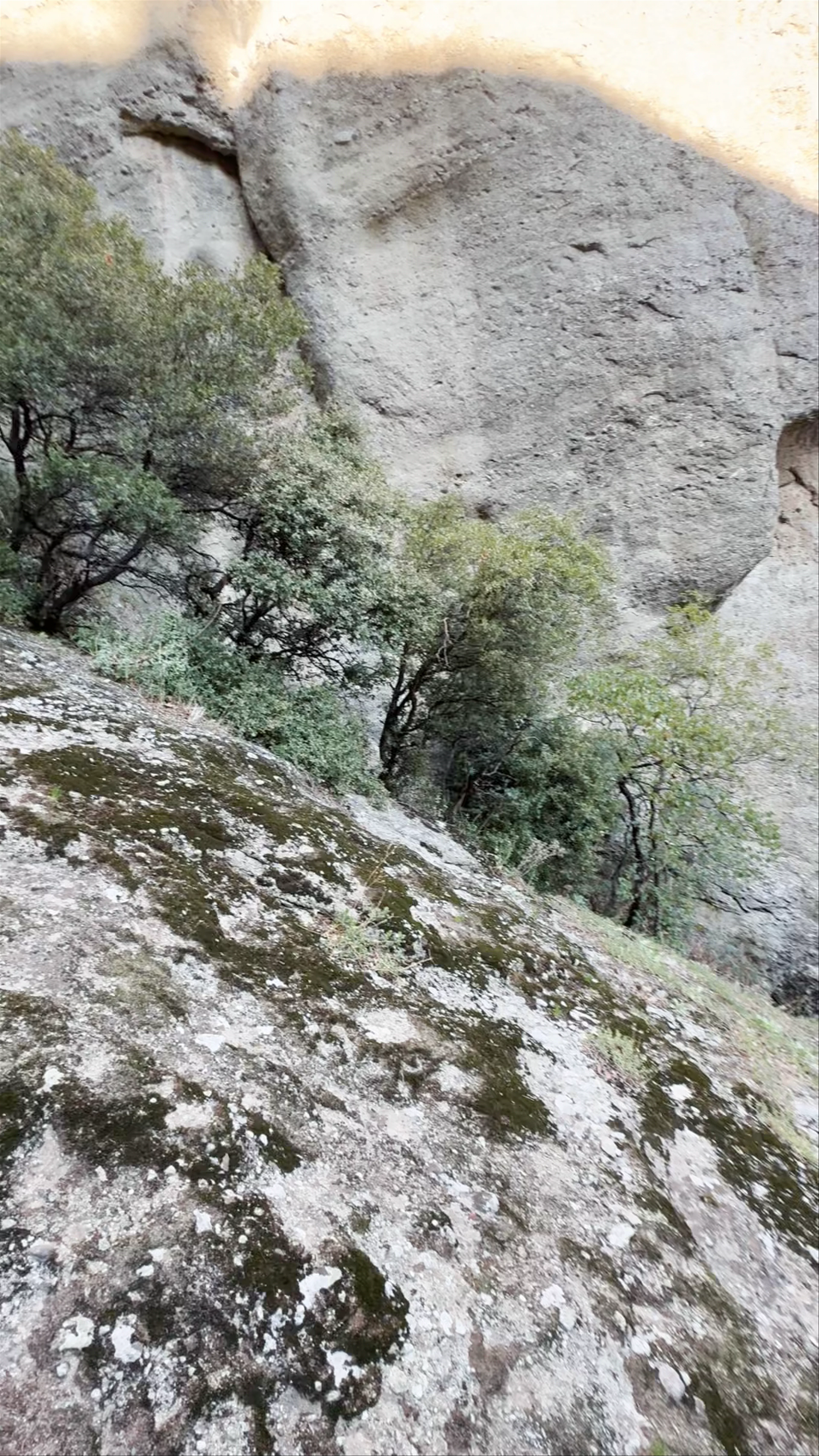 The Rock Holy Spirit