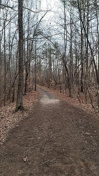 Settles Bridge Park - Playgrounds Near Me - Suwanee, Georgia