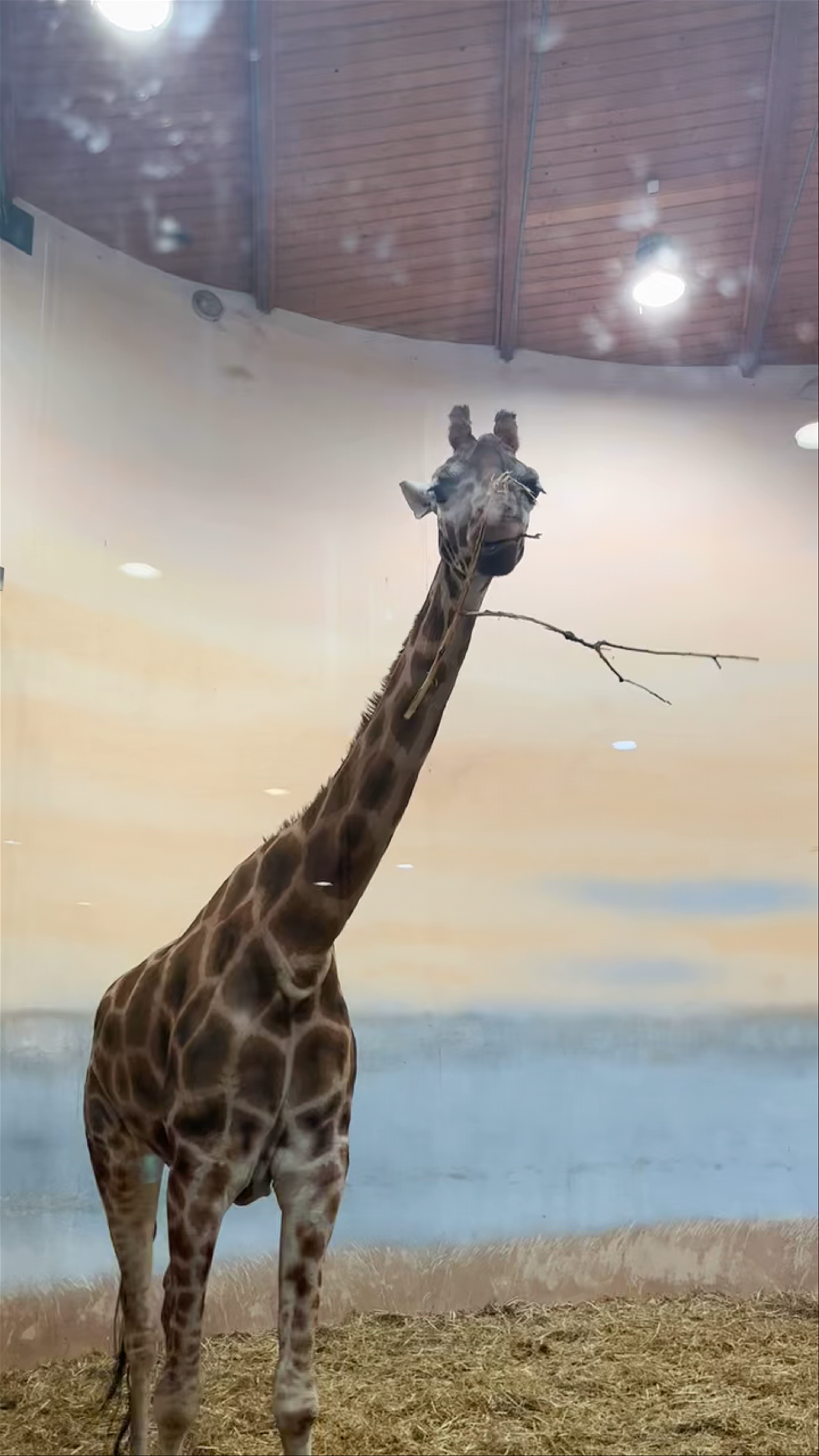 Prague Zoo