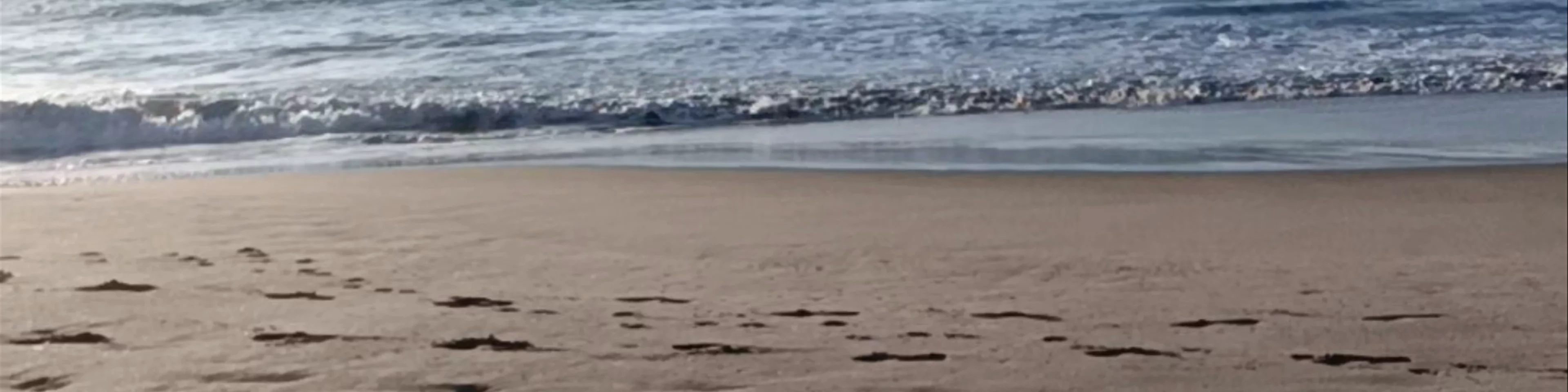 Praia de Lordelo