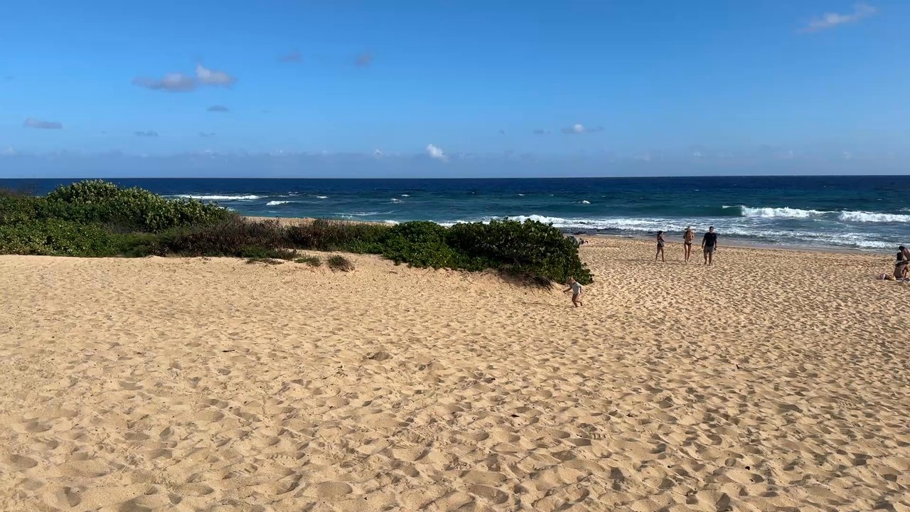 Sandy Beach Park - Parks Near Me - Honolulu, Hawaii