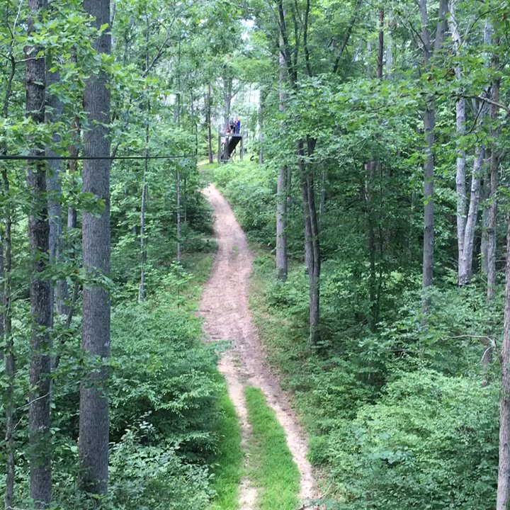 Carolina Ziplines - Tours Near Me - Westfield, North Carolina