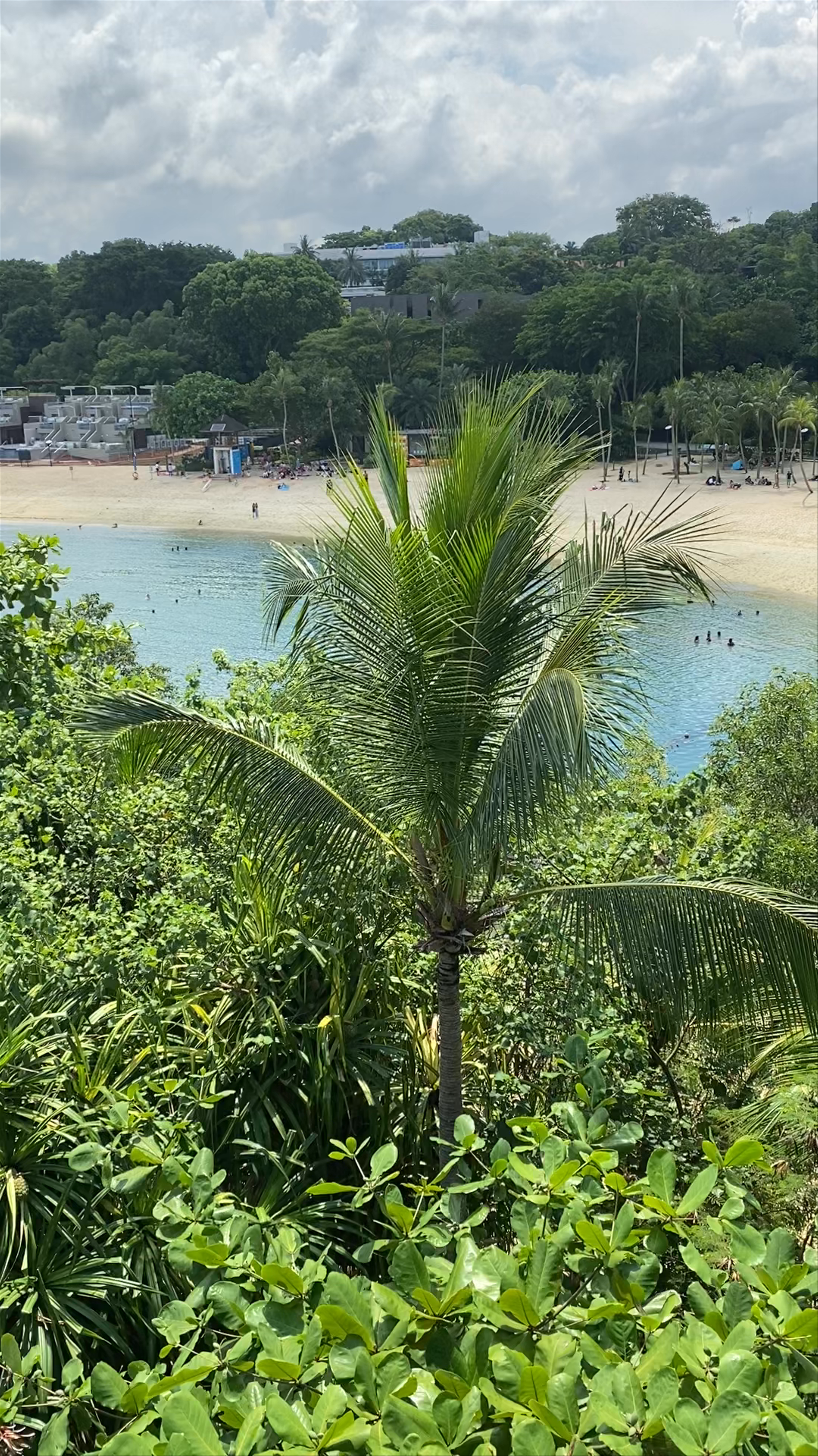 Palawan Viewing Tower
