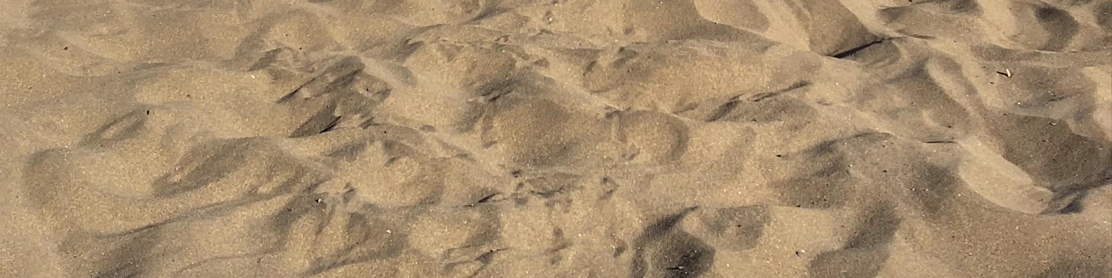 Playa de Las Alcaravaneras