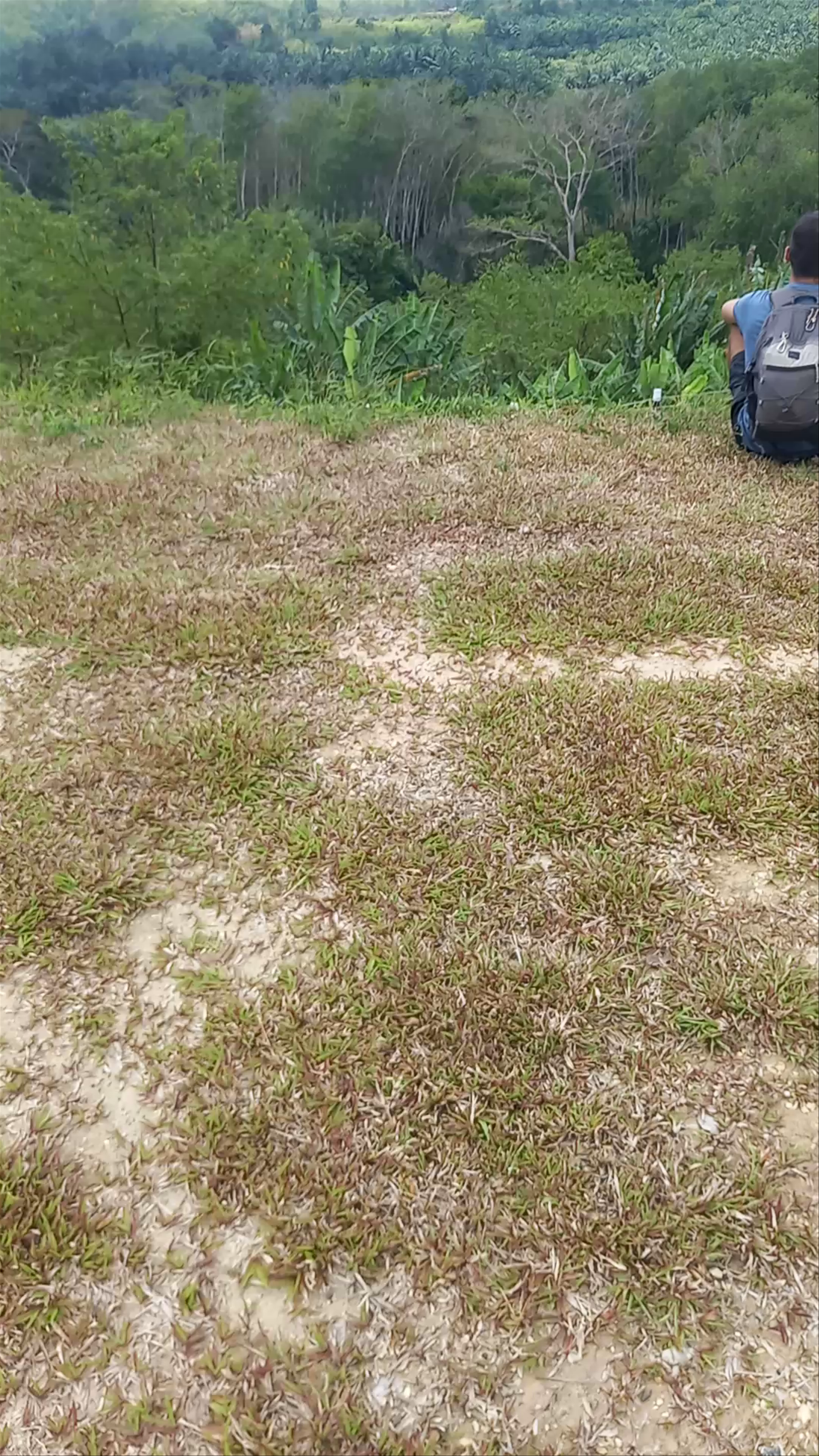 วิถีตรัง Withee Trang Huai Yot