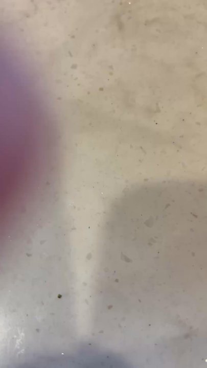 Purple Pie Place - Desserts Near Me - Custer, South Dakota