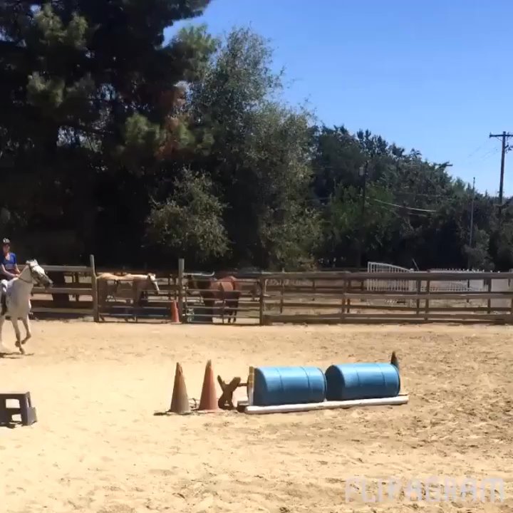 Hillside Training Stables - Horseback Riding Near Me - Orangevale, California