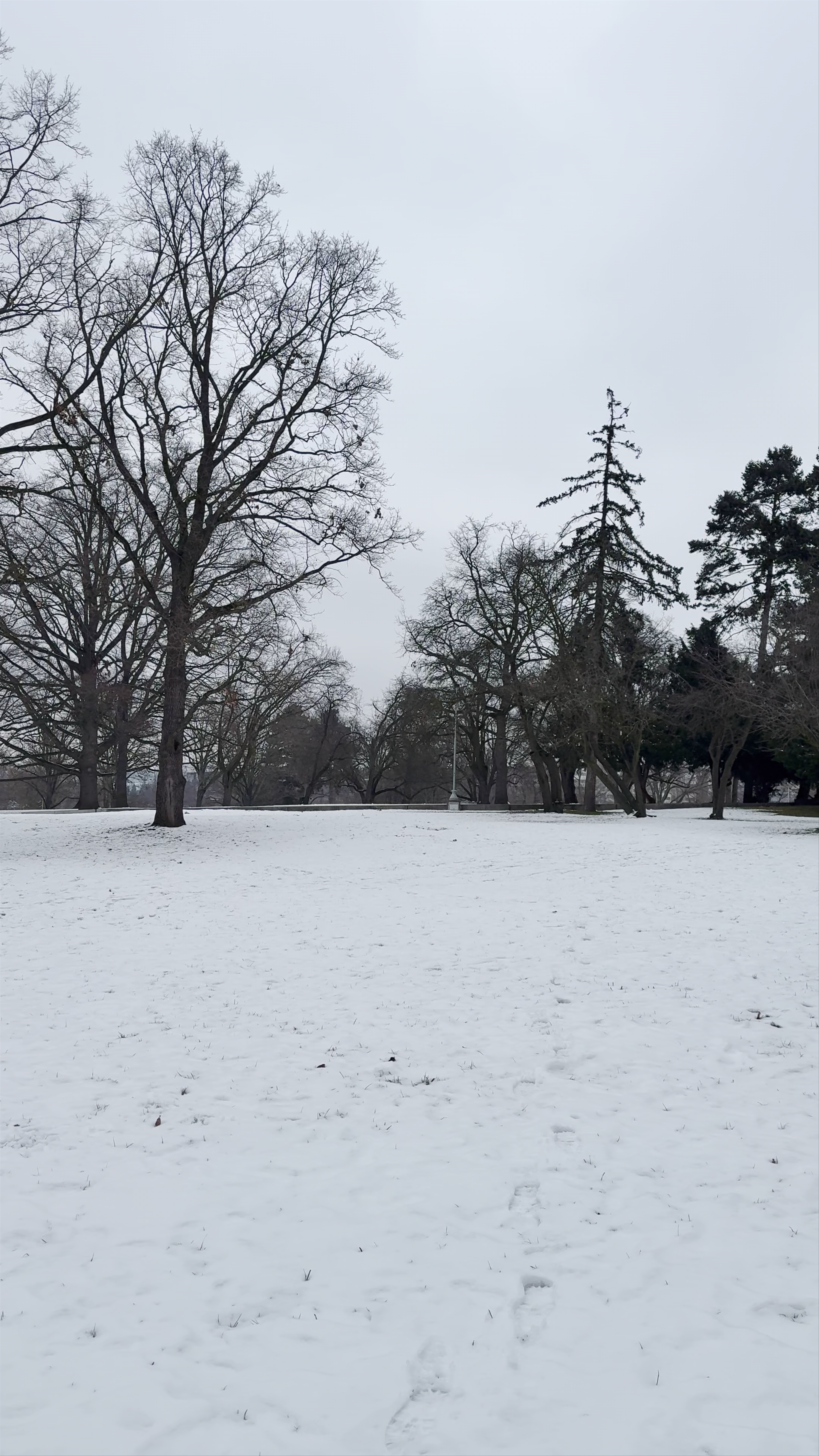 Winter Serenity at Letna Park, Prague