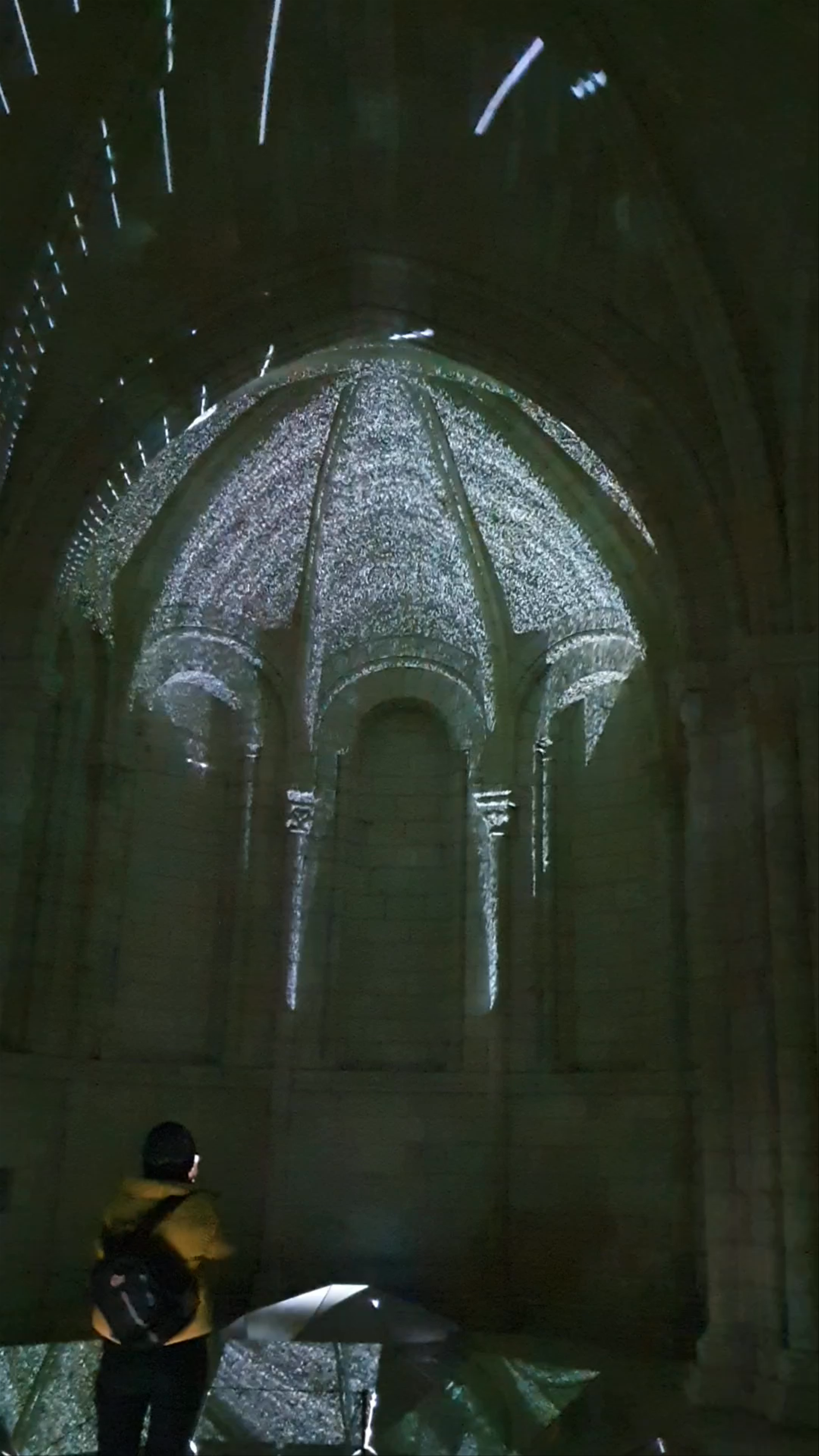 Abbaye de Fontevraud