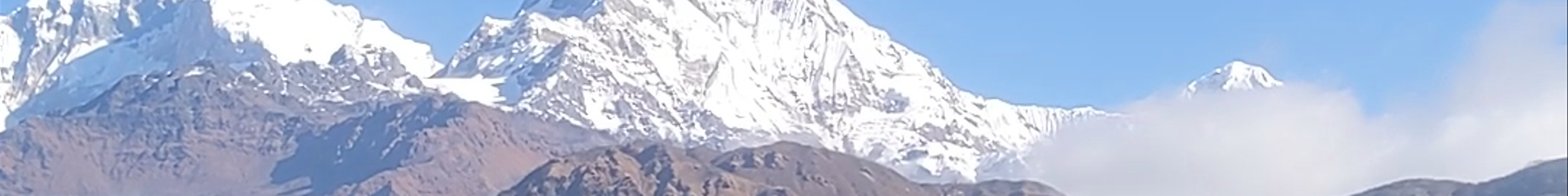 Tours & experiences in Pokhara