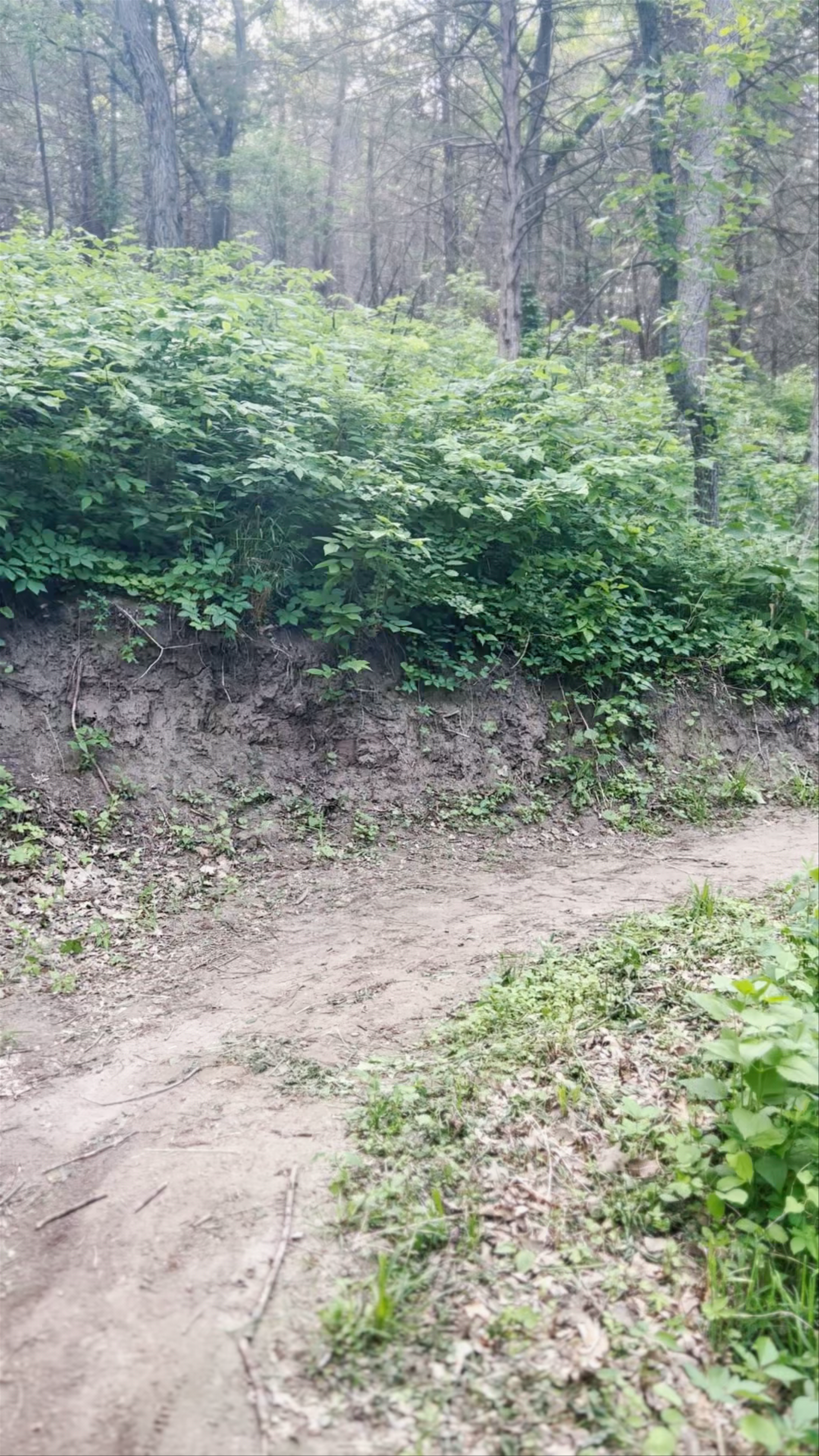 Platte River State Park