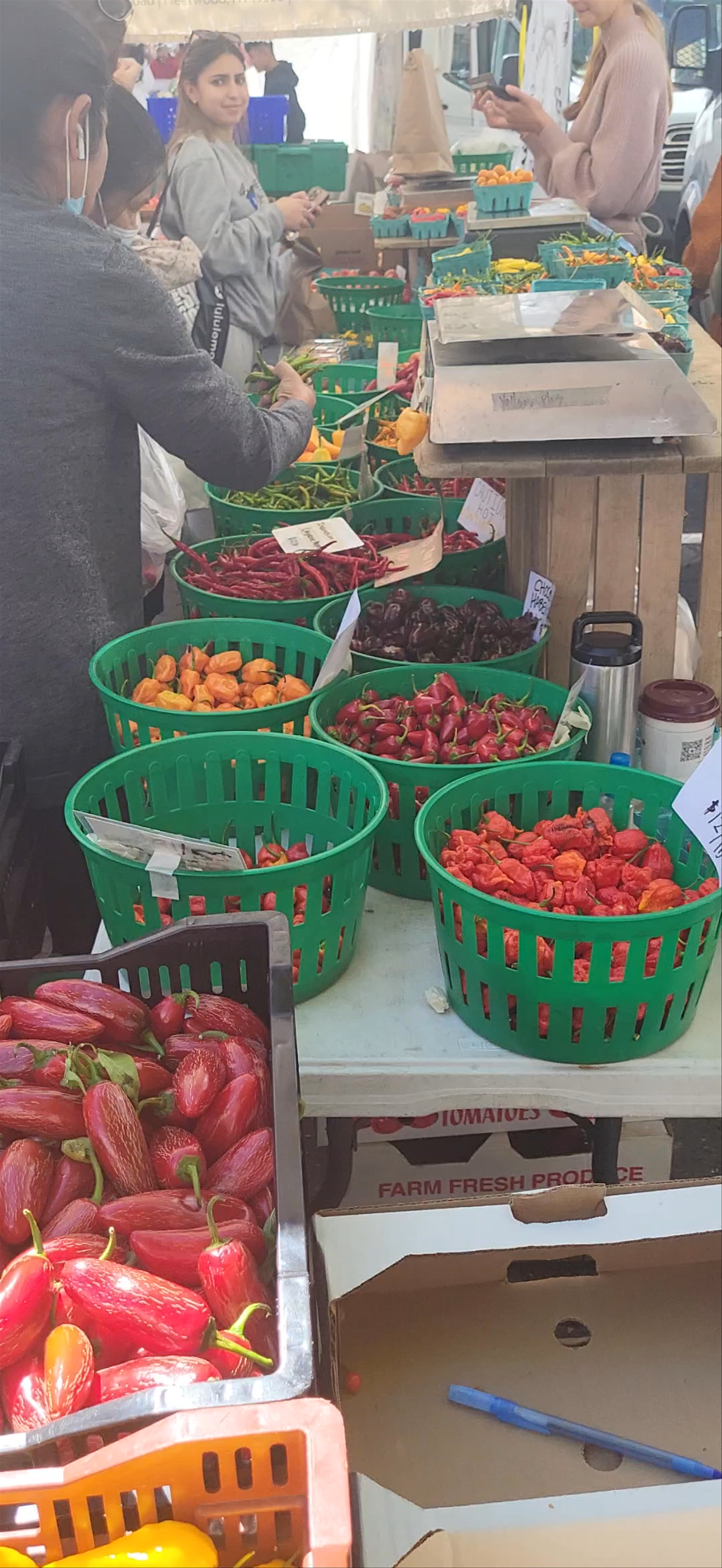 Union Square Greenmarket: A Vibrant Urban Farmers Market Experience in New York