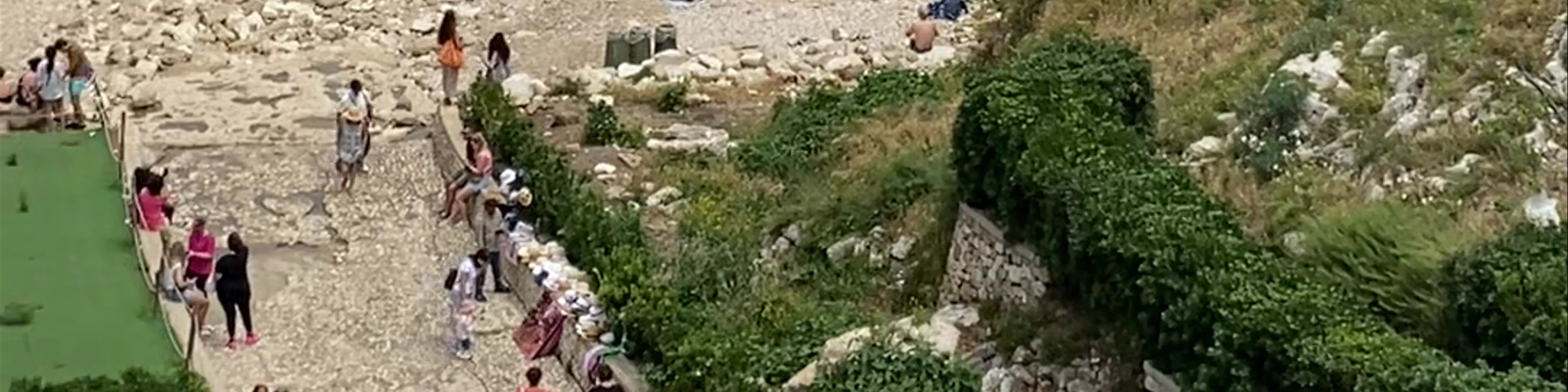 Lama Monachile