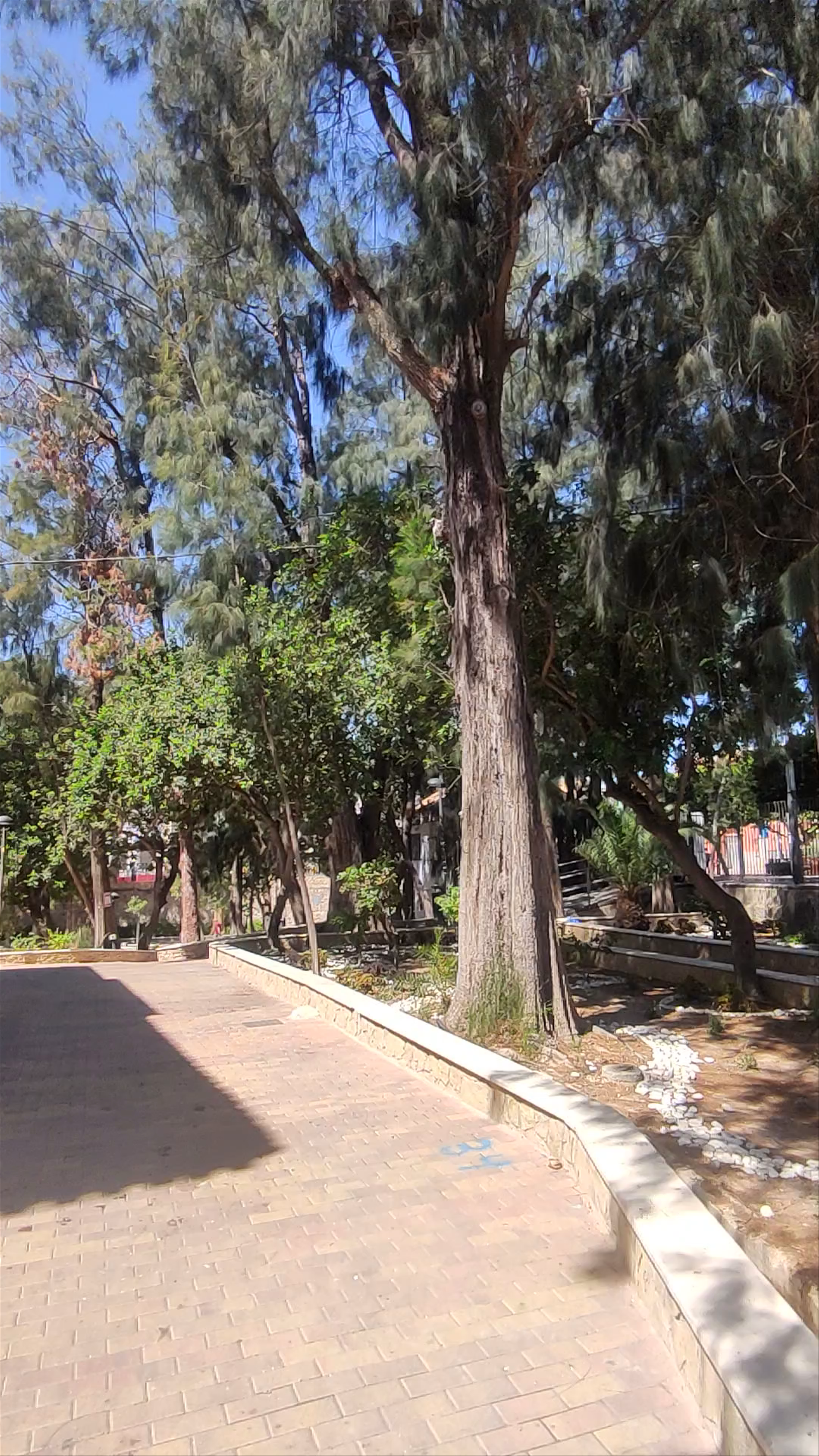 Museo Del Esparto De Archena
