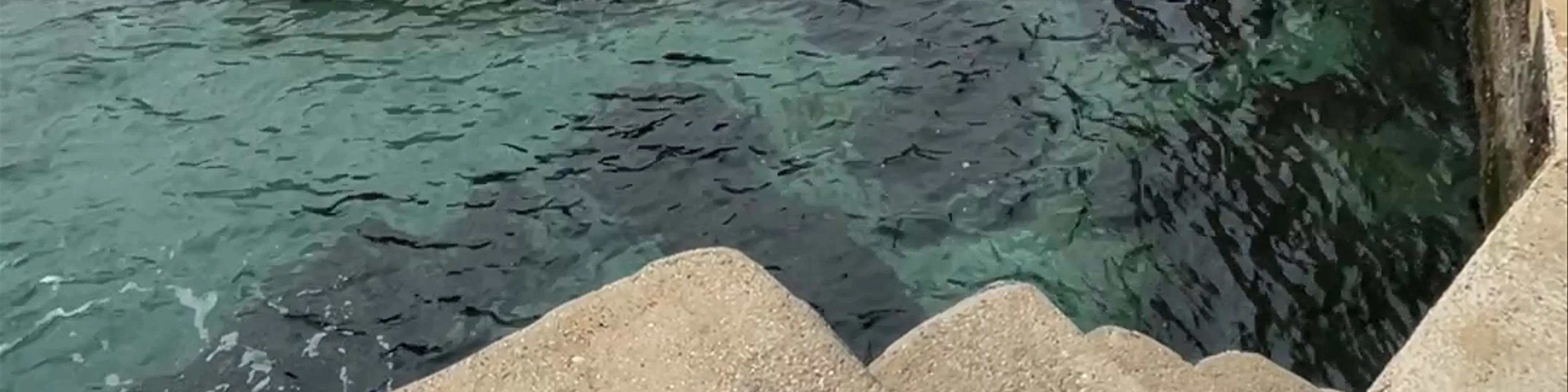 Public swimming showers
