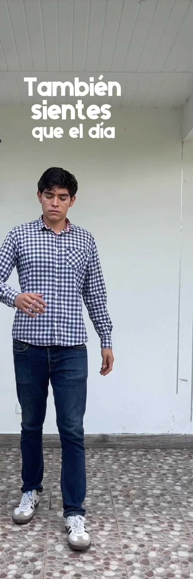 Contenido del creador