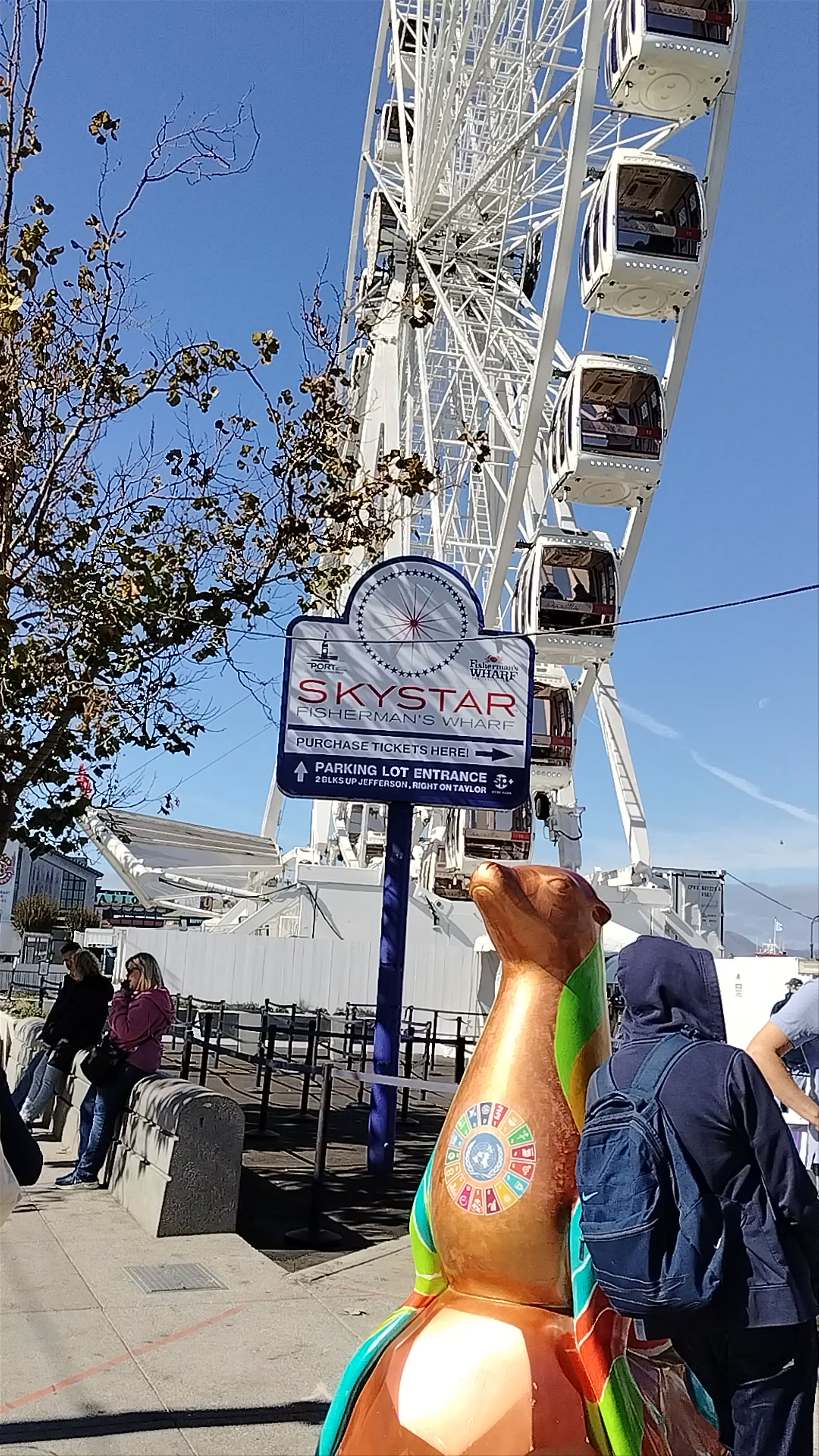 San Francisco's SkyStar Wheel at Fisherman's Wharf