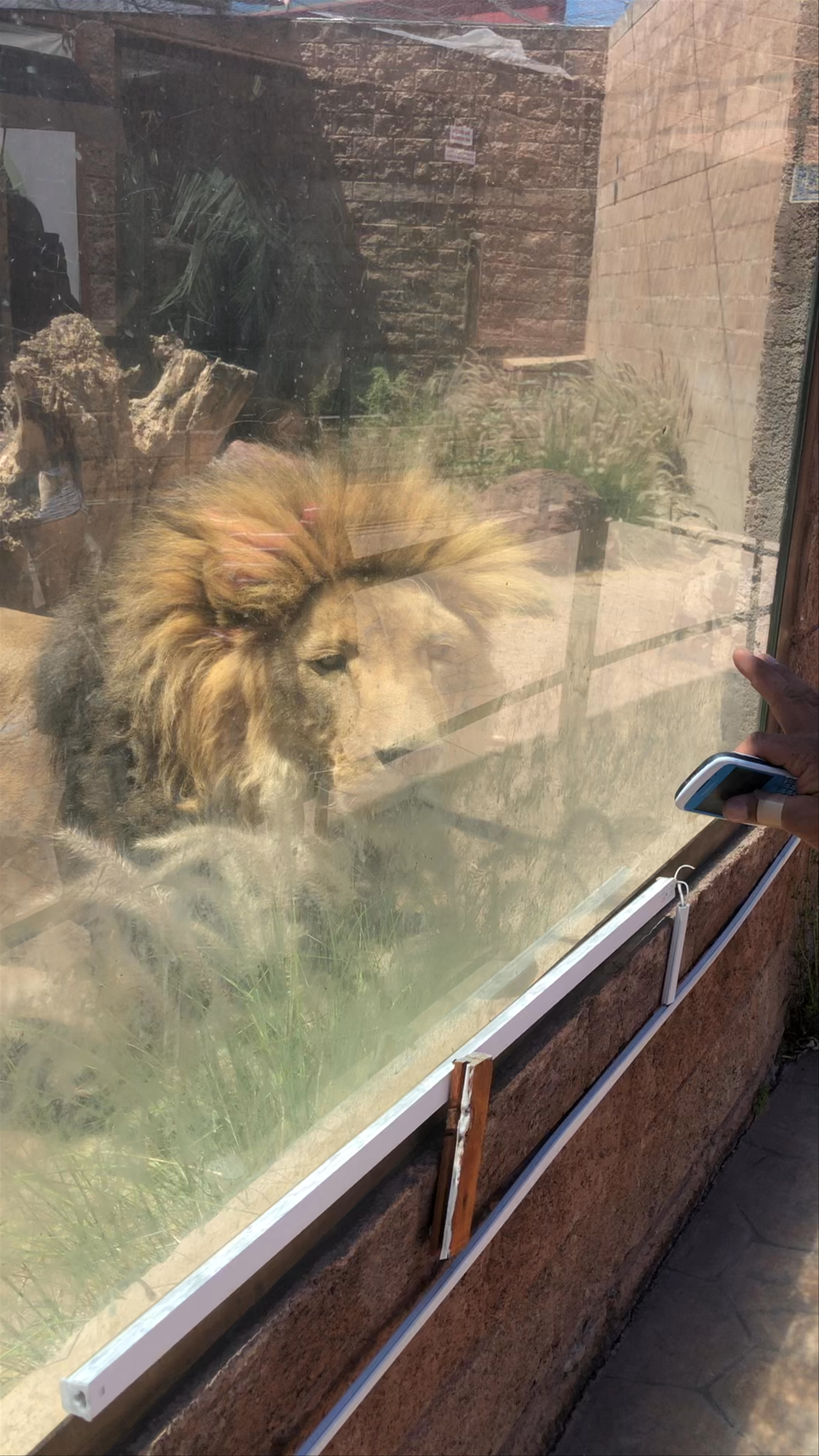 Zoologico Guadalajara