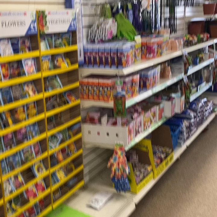 Dollar Tree - Heading out and decided to video how clean and organized the store was - Discount Store Near Me - Hyattsville, Maryland