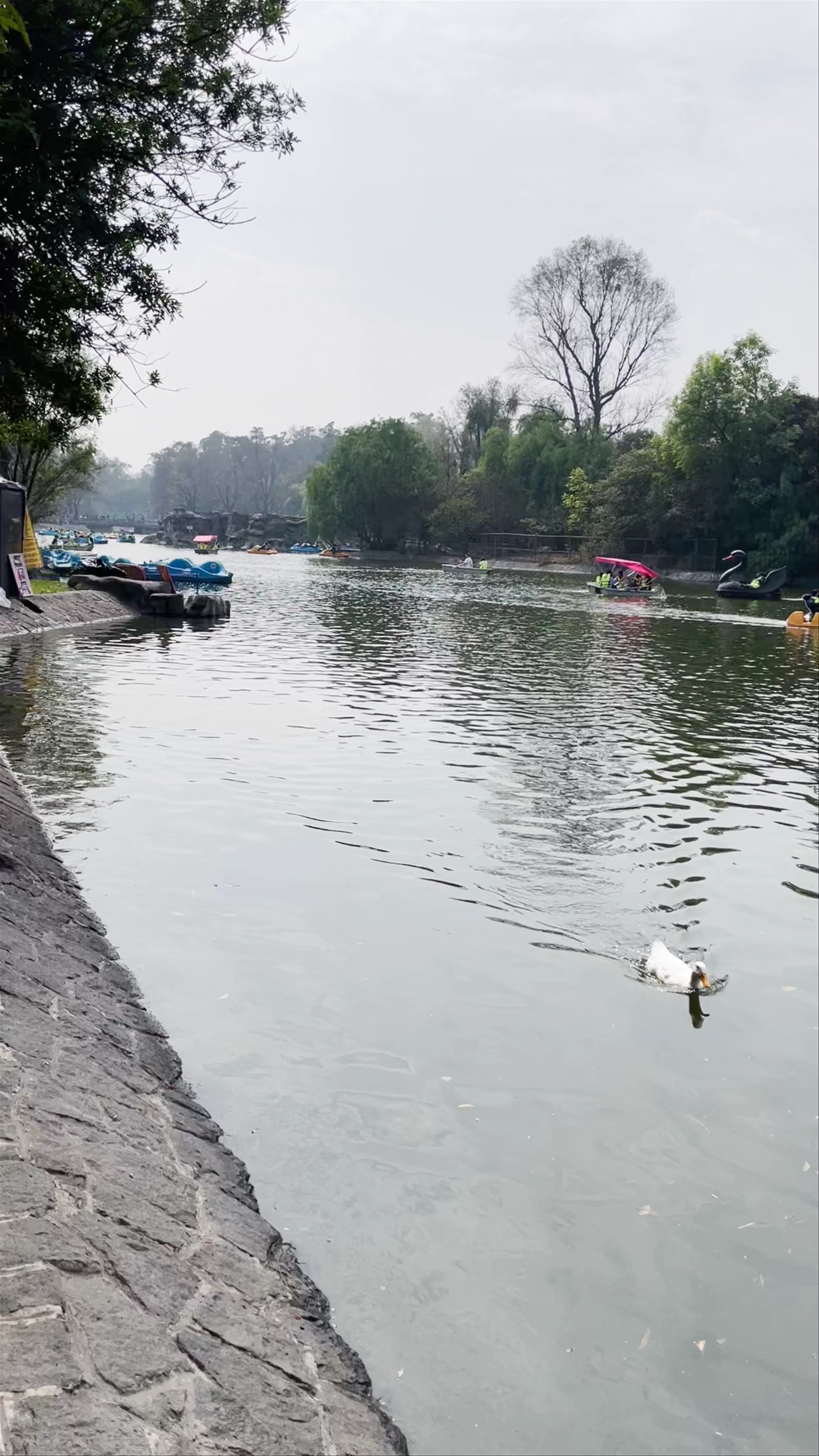 Bosque de Chapultepec, Mexico City, CDMX, Mexico