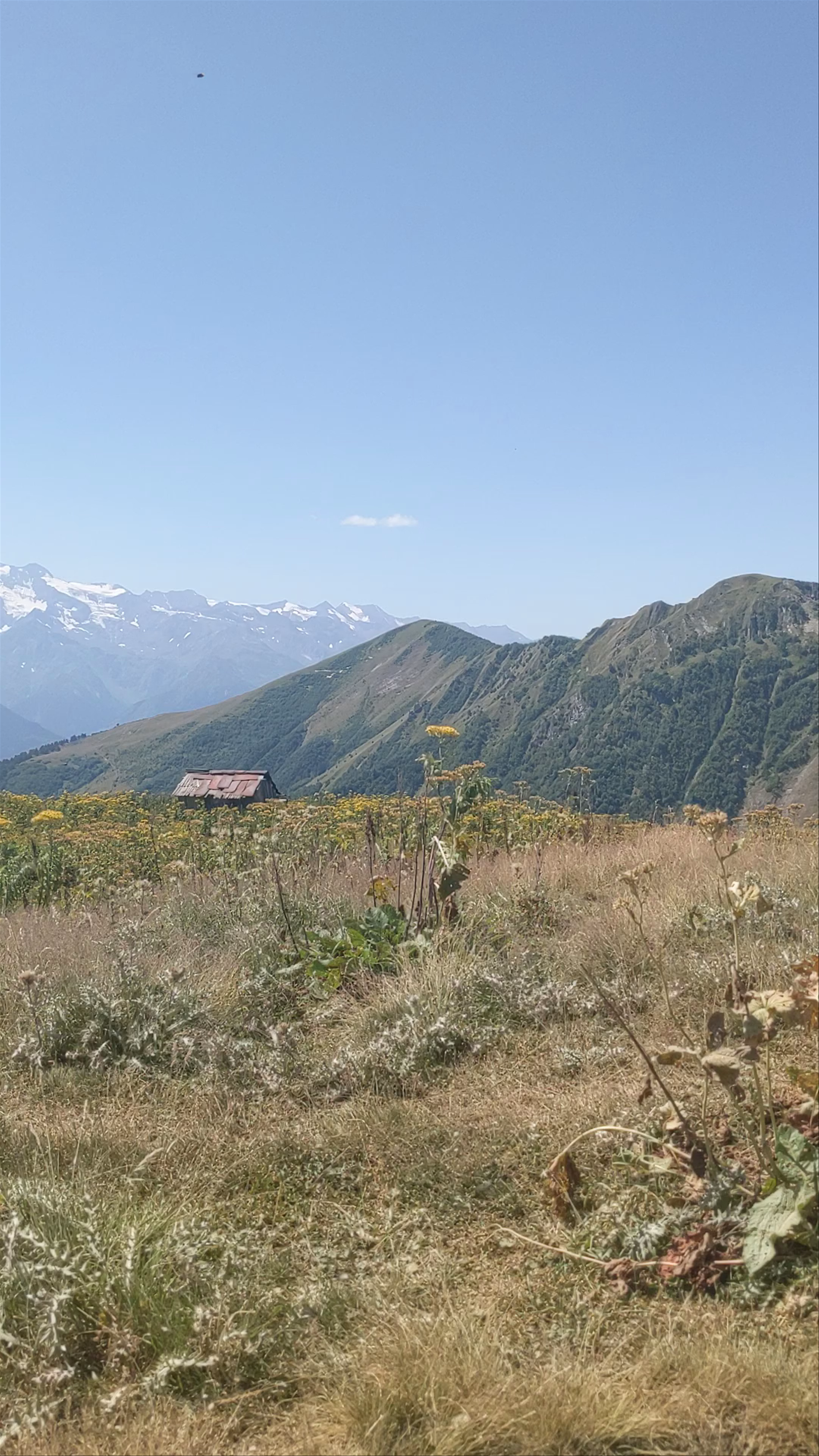 The Cross Over Mestia: Untamed Mountain Trails and Rustic Landscapes in Georgia