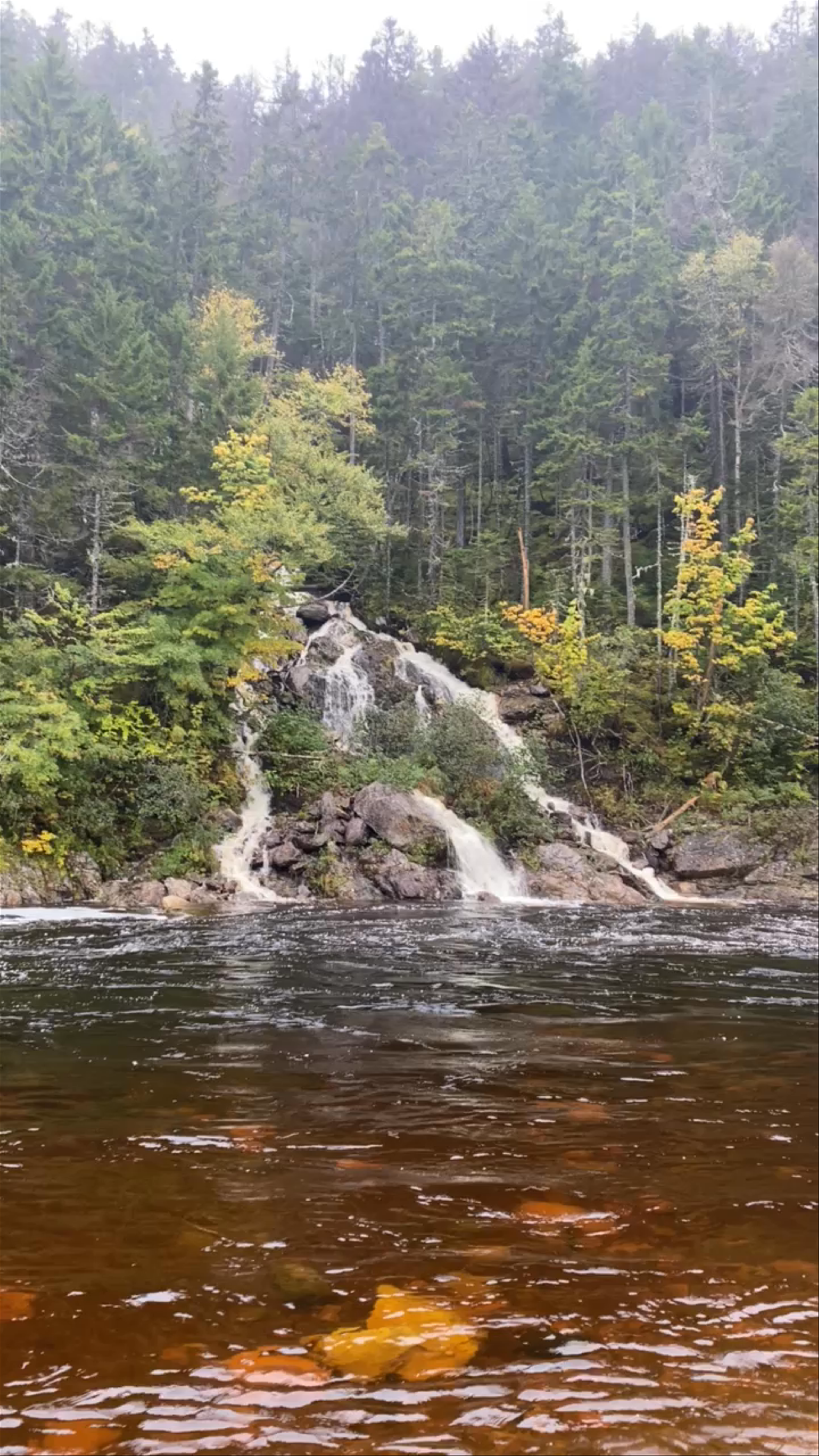 Big Salmon River Suspension Bridge