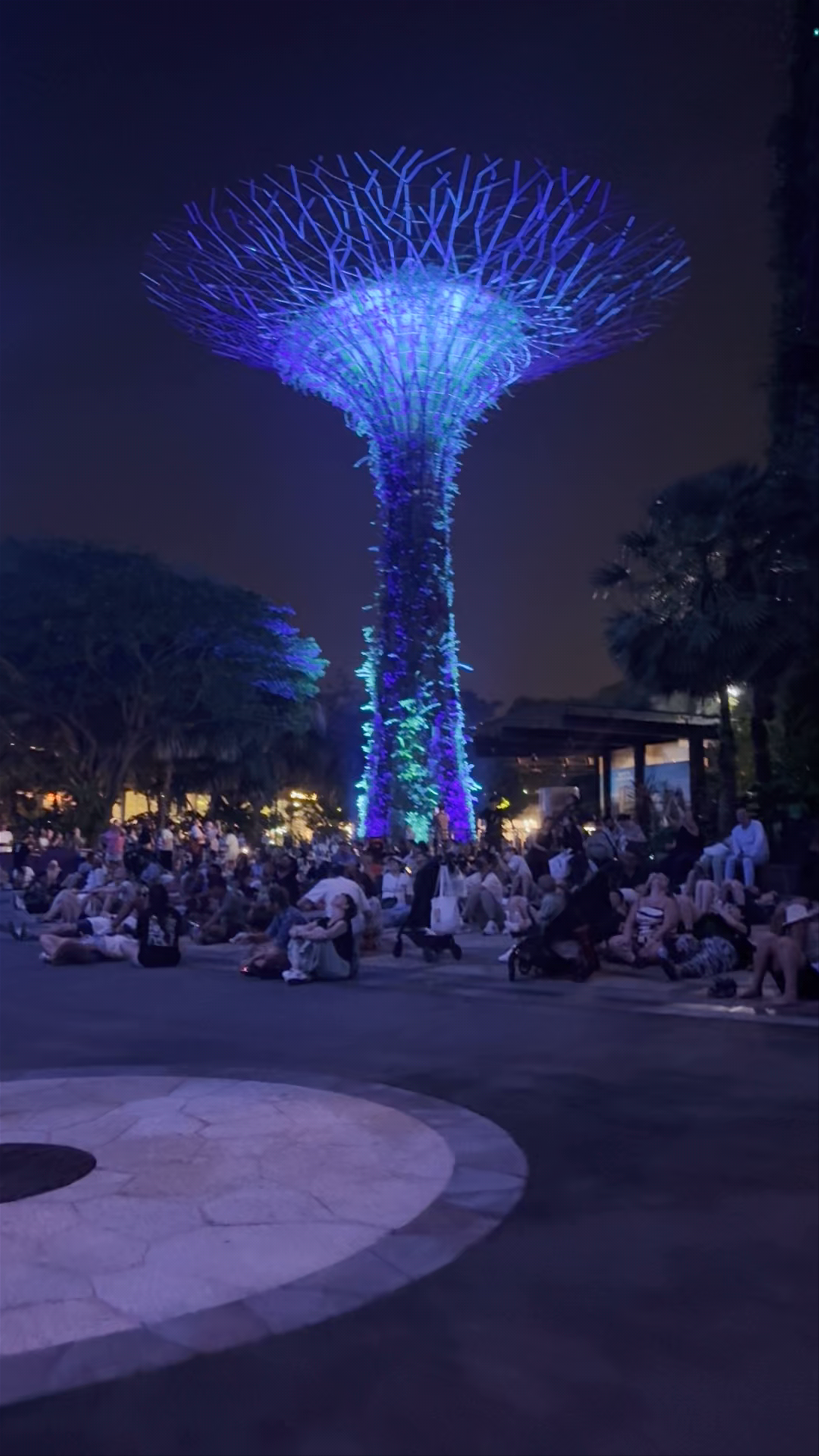 Marina Gardens Drive