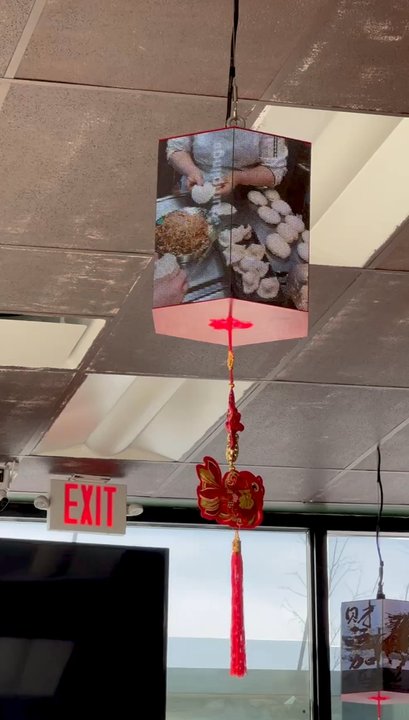 Palace Dumplings - This is the coolest lantern - Chinese Near Me - Poughkeepsie, New York