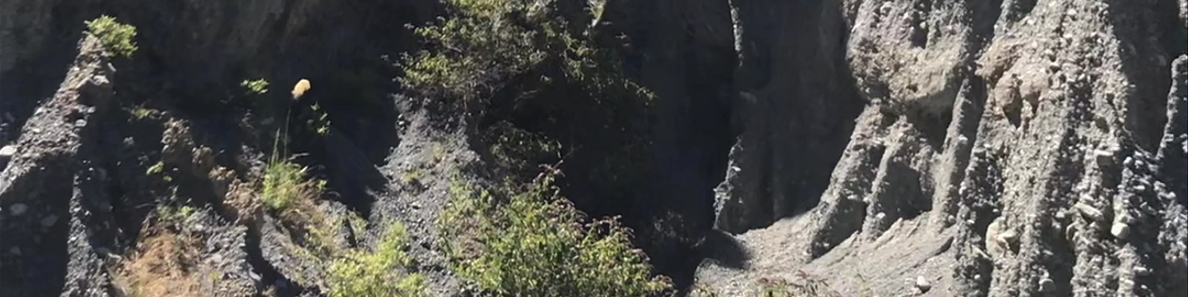 Putangirua Pinnacles