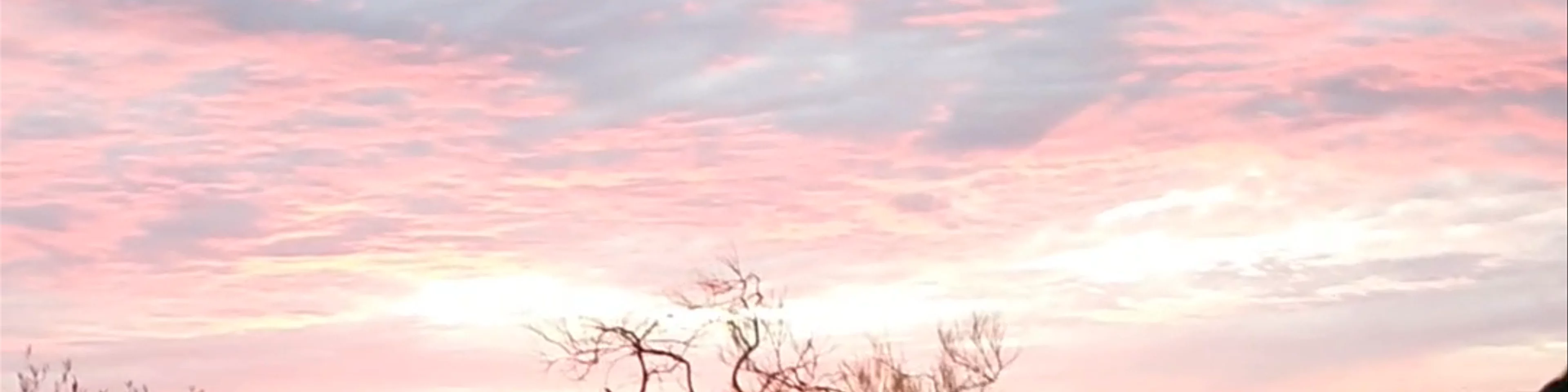 Nature's Window