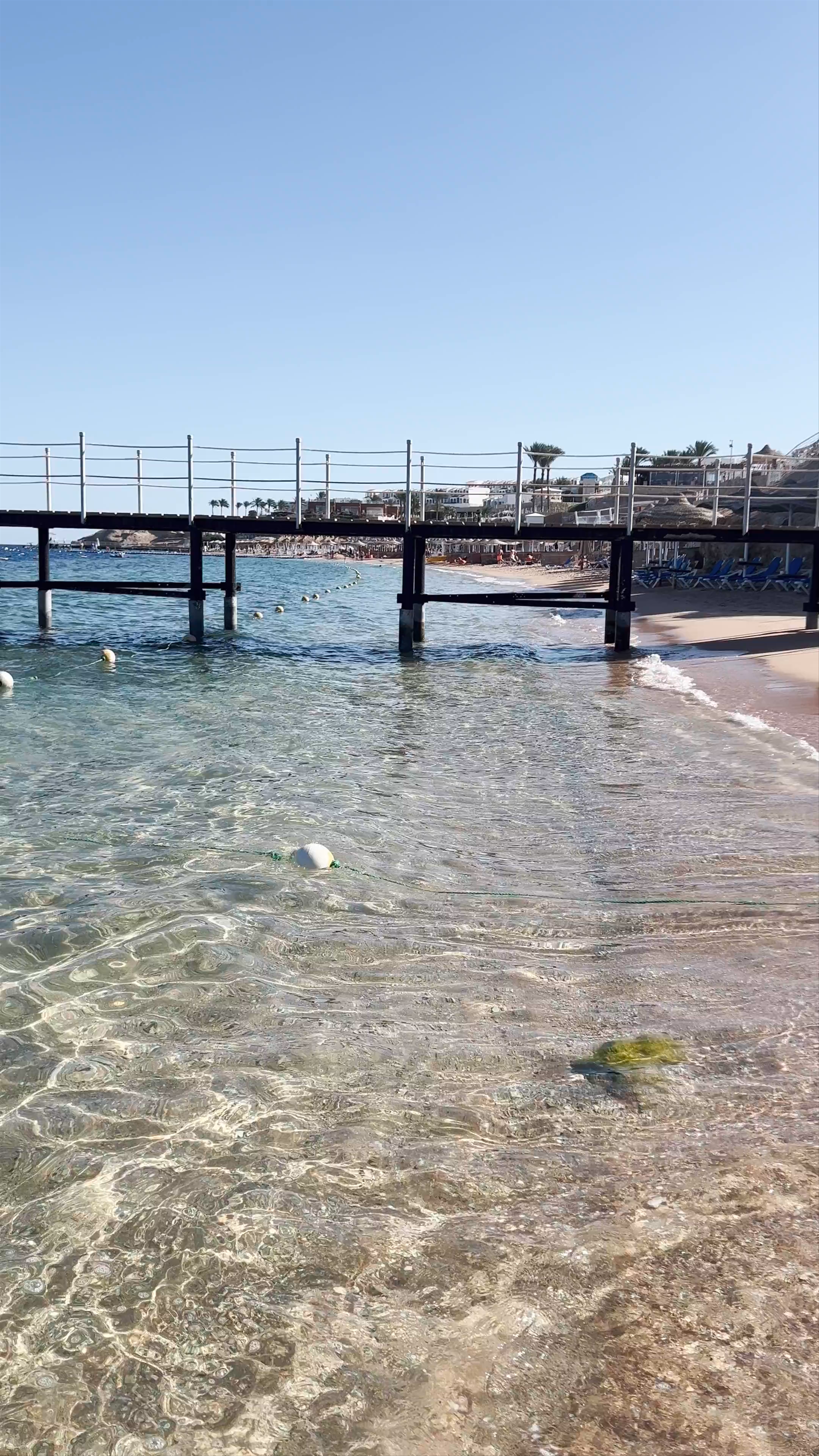 Sunny Beach Vibes at Sultan Gardens Resort, Sharm El Sheikh