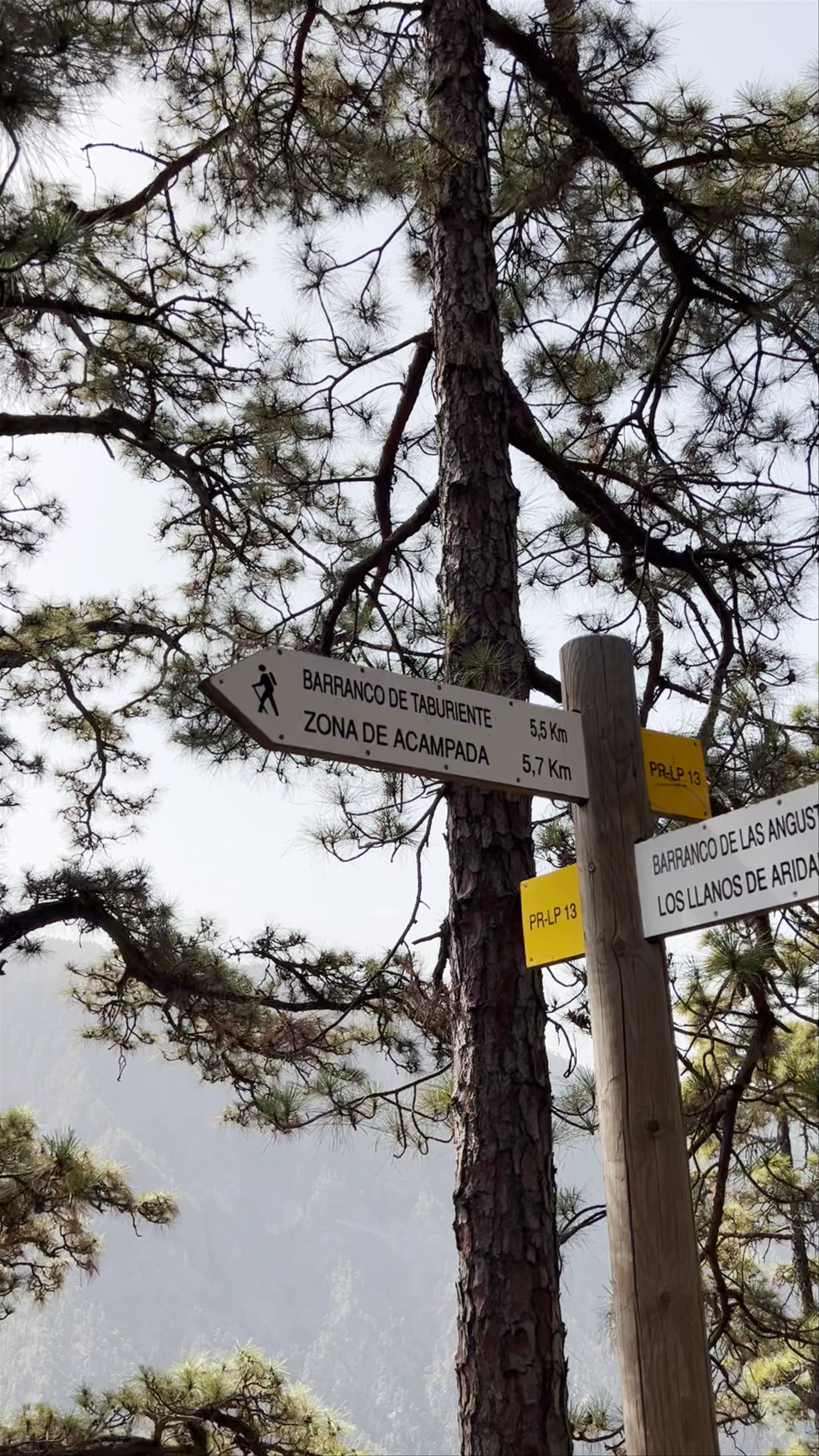 Los Llanos de Aridane