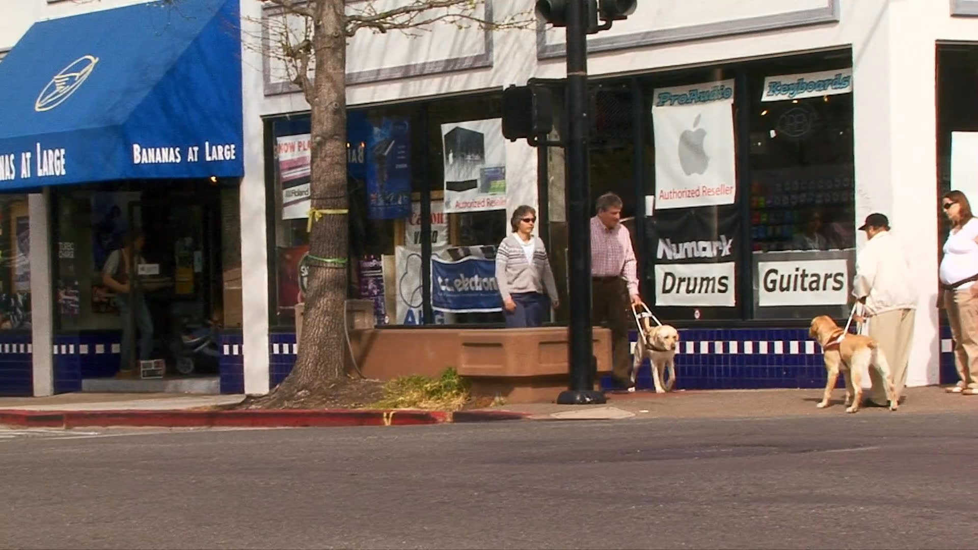 A man accompanied by a trainer and a guide dog navigates a busy intersection and walks toward a local music store. The session highlights the focus and discipline of the service animal in a real-world urban environment.